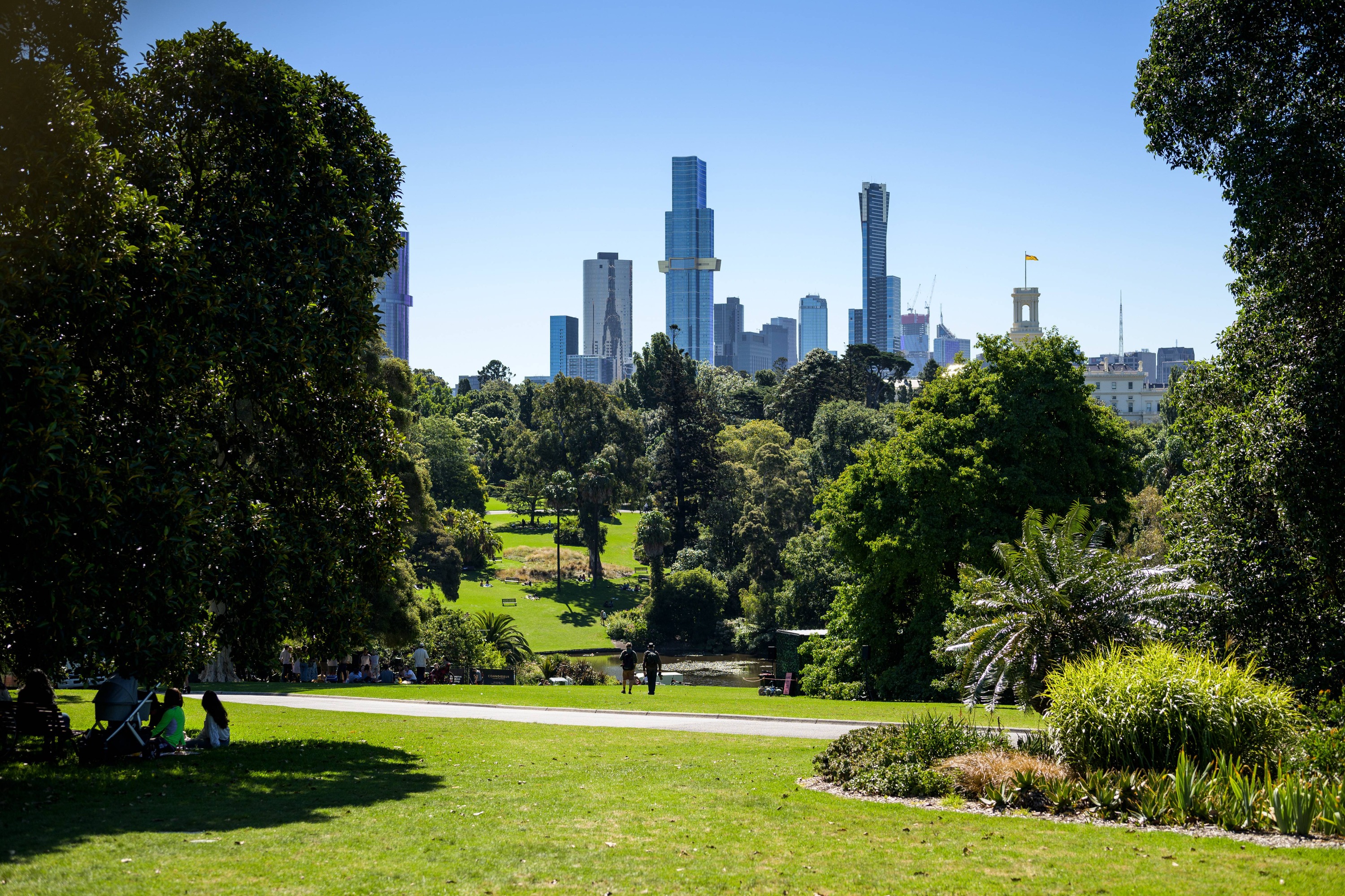 Melbourne Magic City Discovery & Penguin Parade Day Tour 