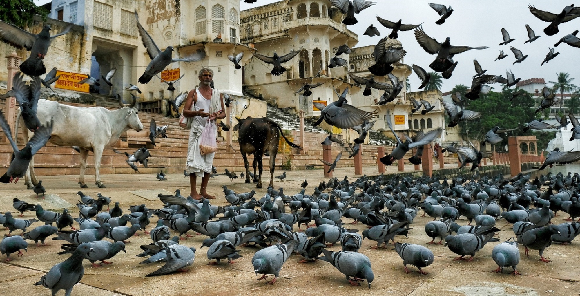 A Day Trip of Pushkar from Jaipur with Local Guide