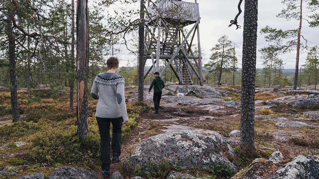 Vikakongas Hiking Experience