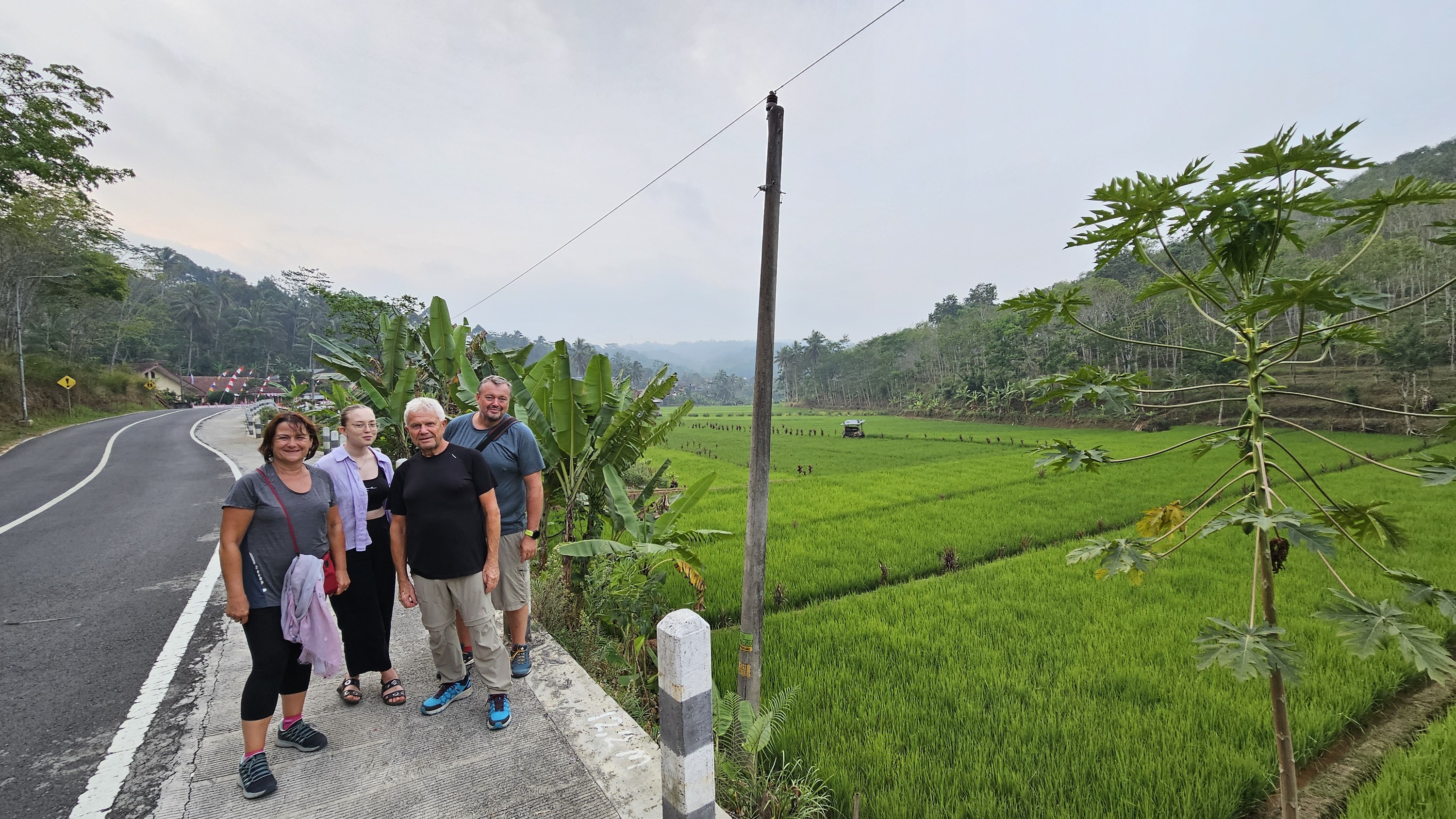 Javanese Rice Terrace