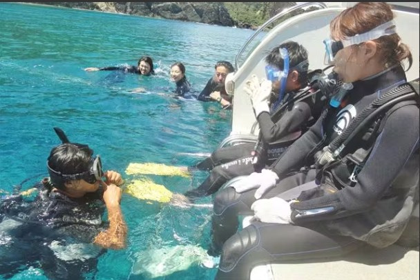 Diving & Snorkeling Tour in Okinawa