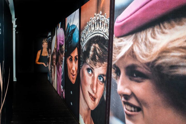 「Princess Diana Accredited Access」展 入場チケット（ロンドン）