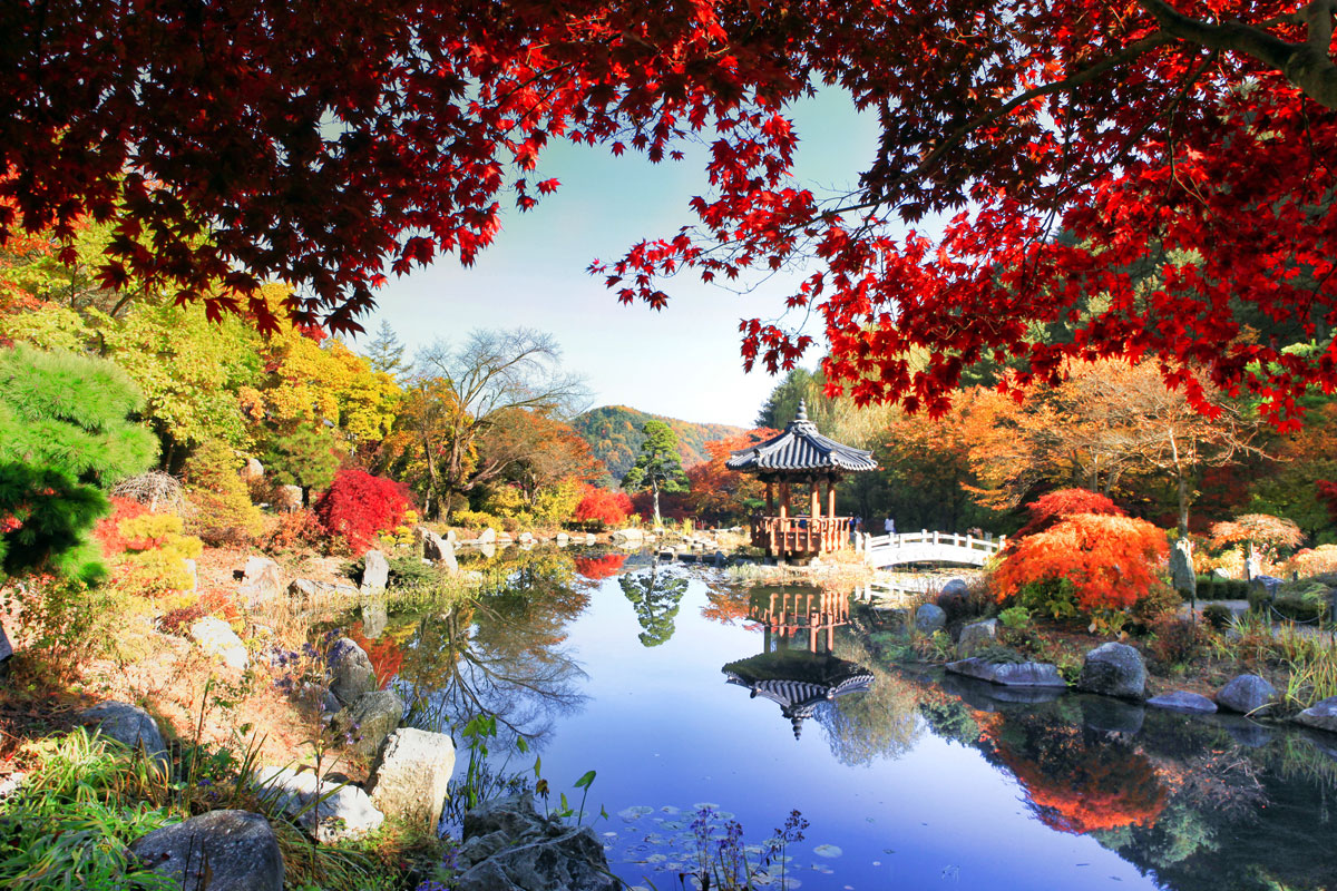 晨靜樹木園 – 一座寧靜的植物園，散發著季節性的美麗。