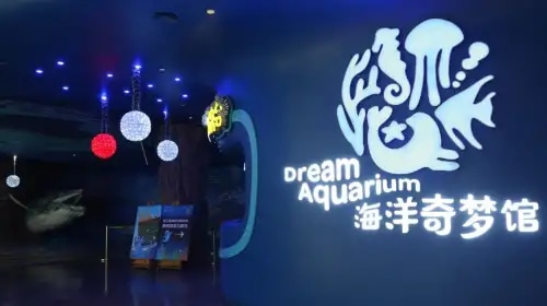 Happy Coast Ocean Fantasy Museum