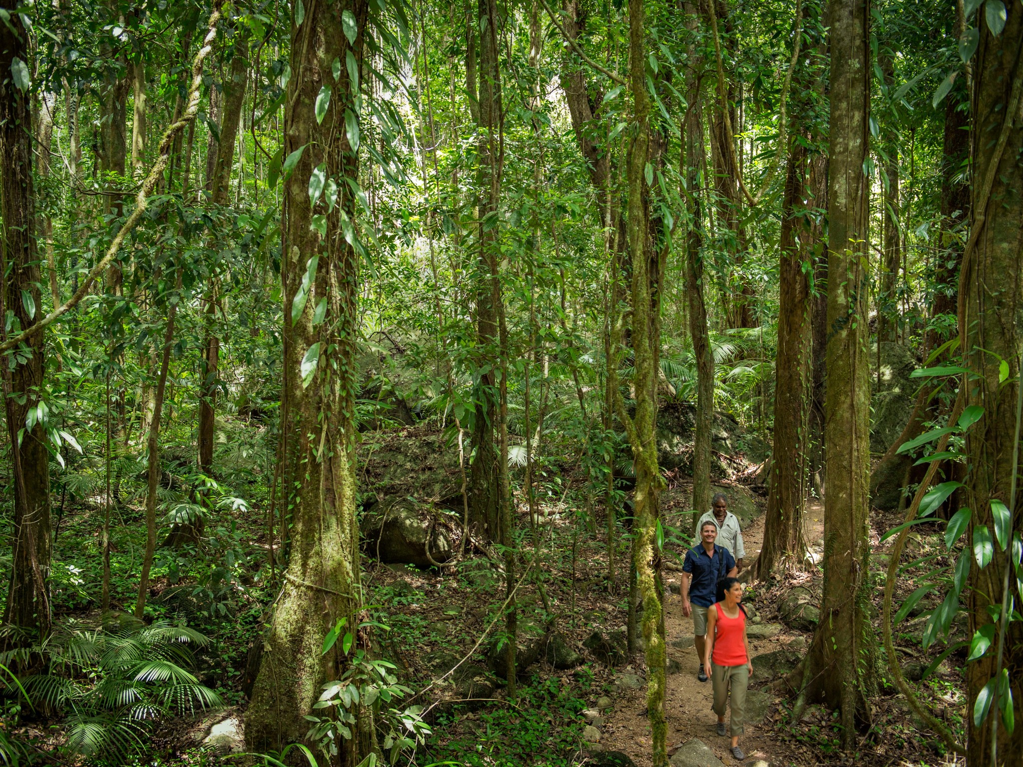 Mossman Gorge Daintree Rainforest Tour
