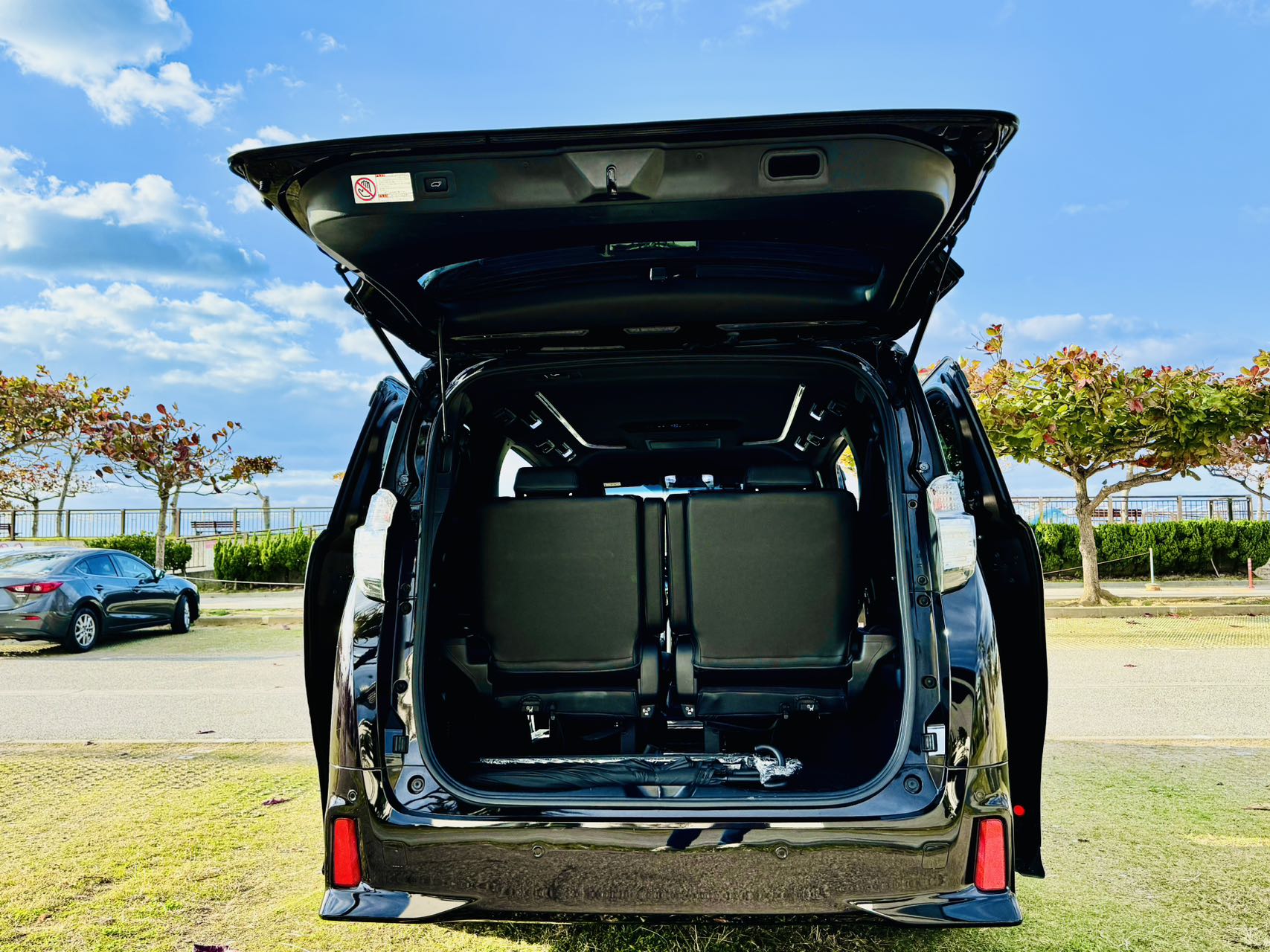 Luxury 7-seater Alfa 9