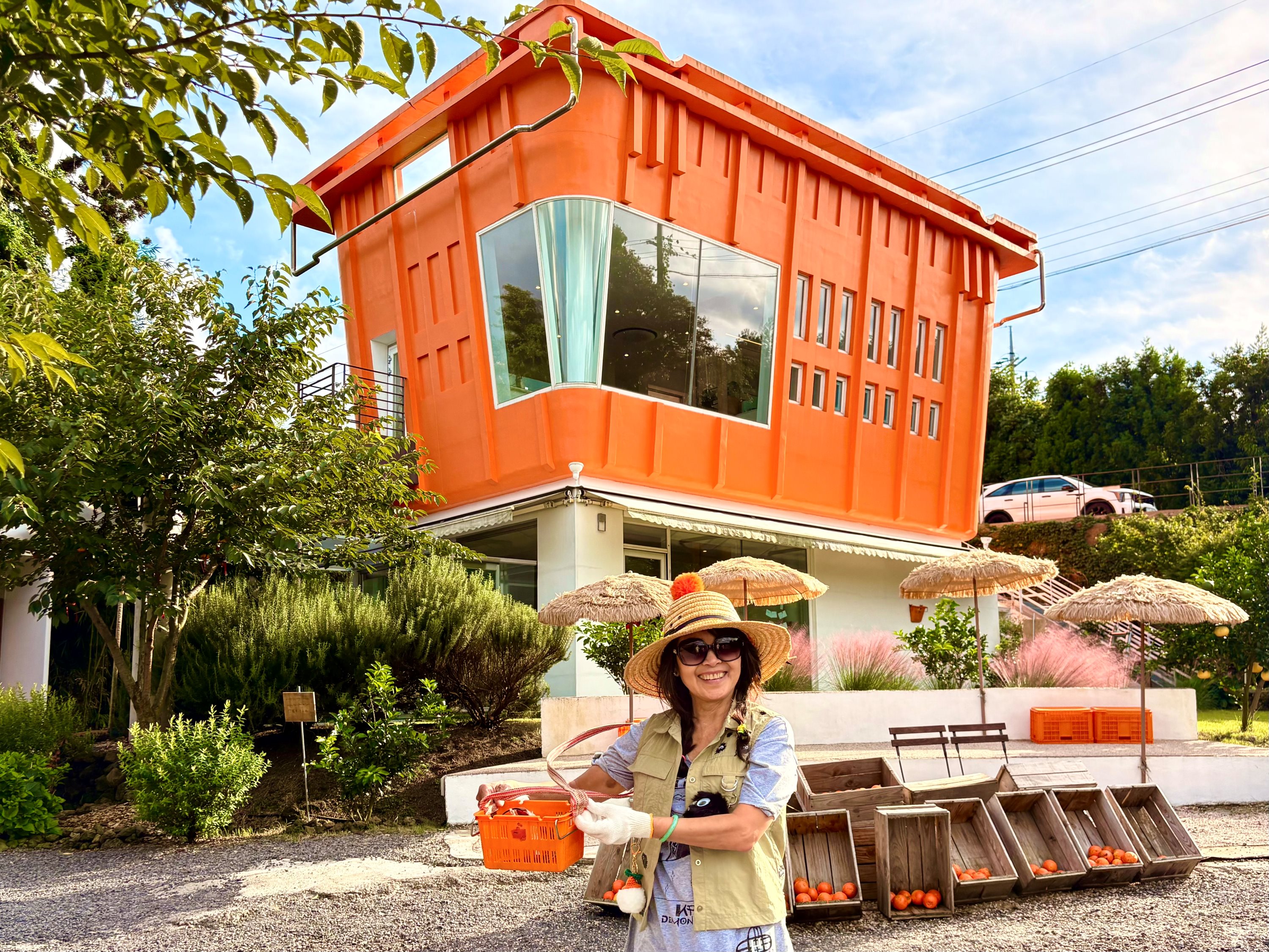 Jeju Autumn Snoopy Garden Pink Muhly, Tangerine, Silver Grass Tour