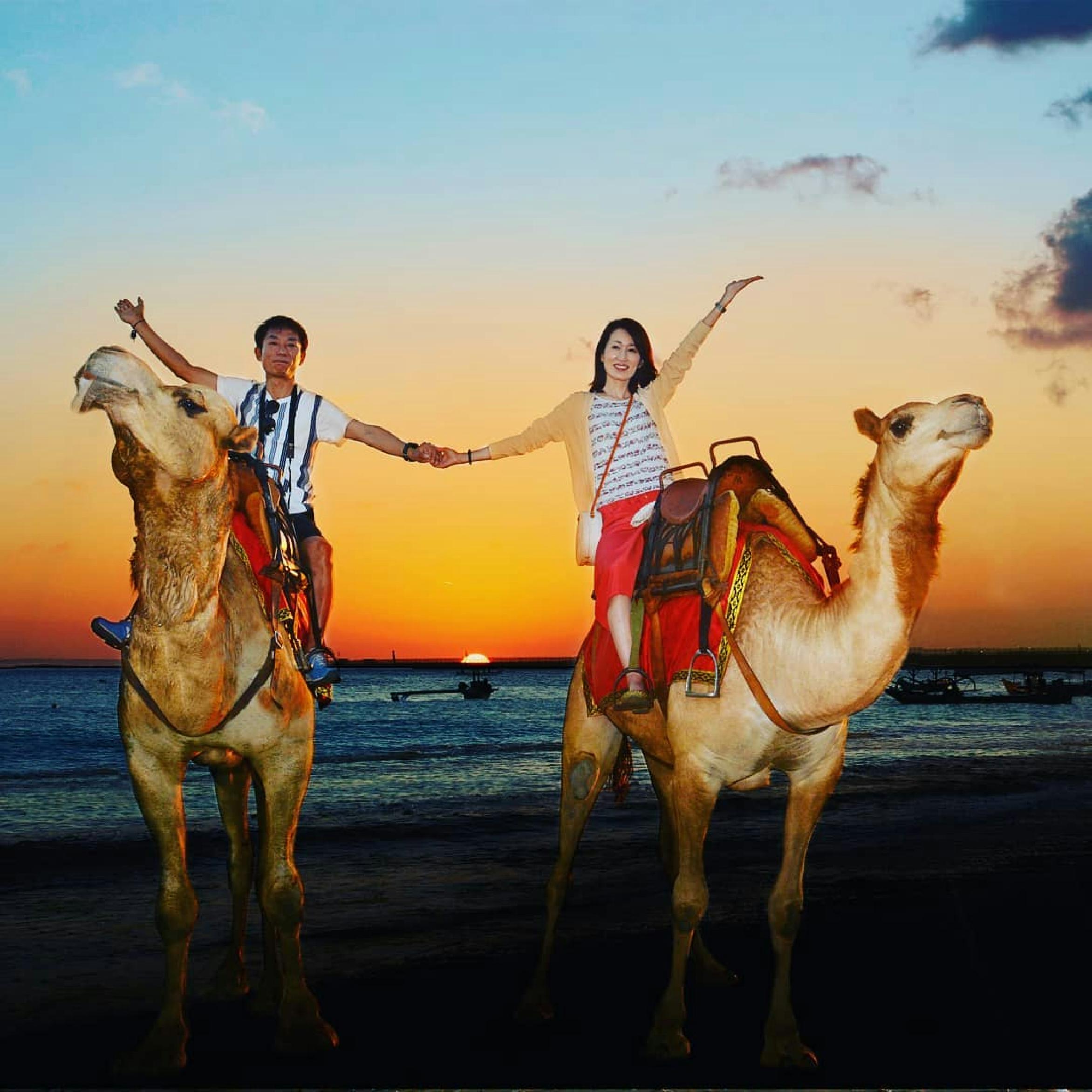 Camel Ride Experience in Bali