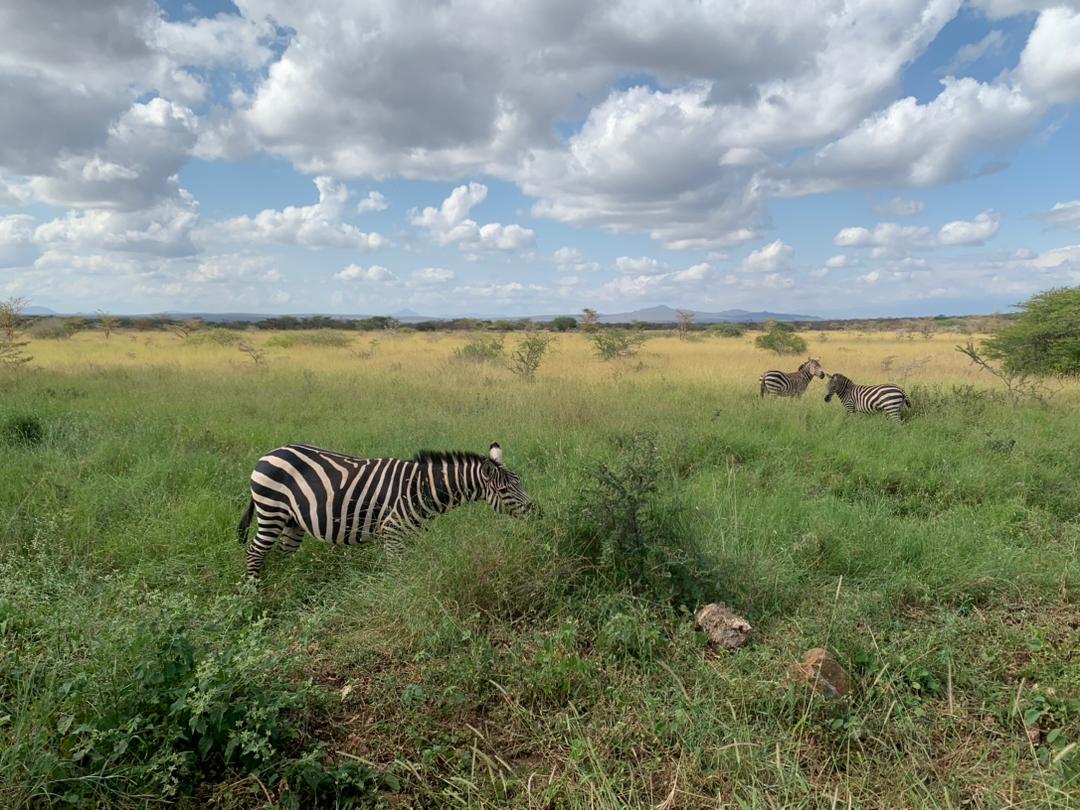 Arusha National Park Day Trip