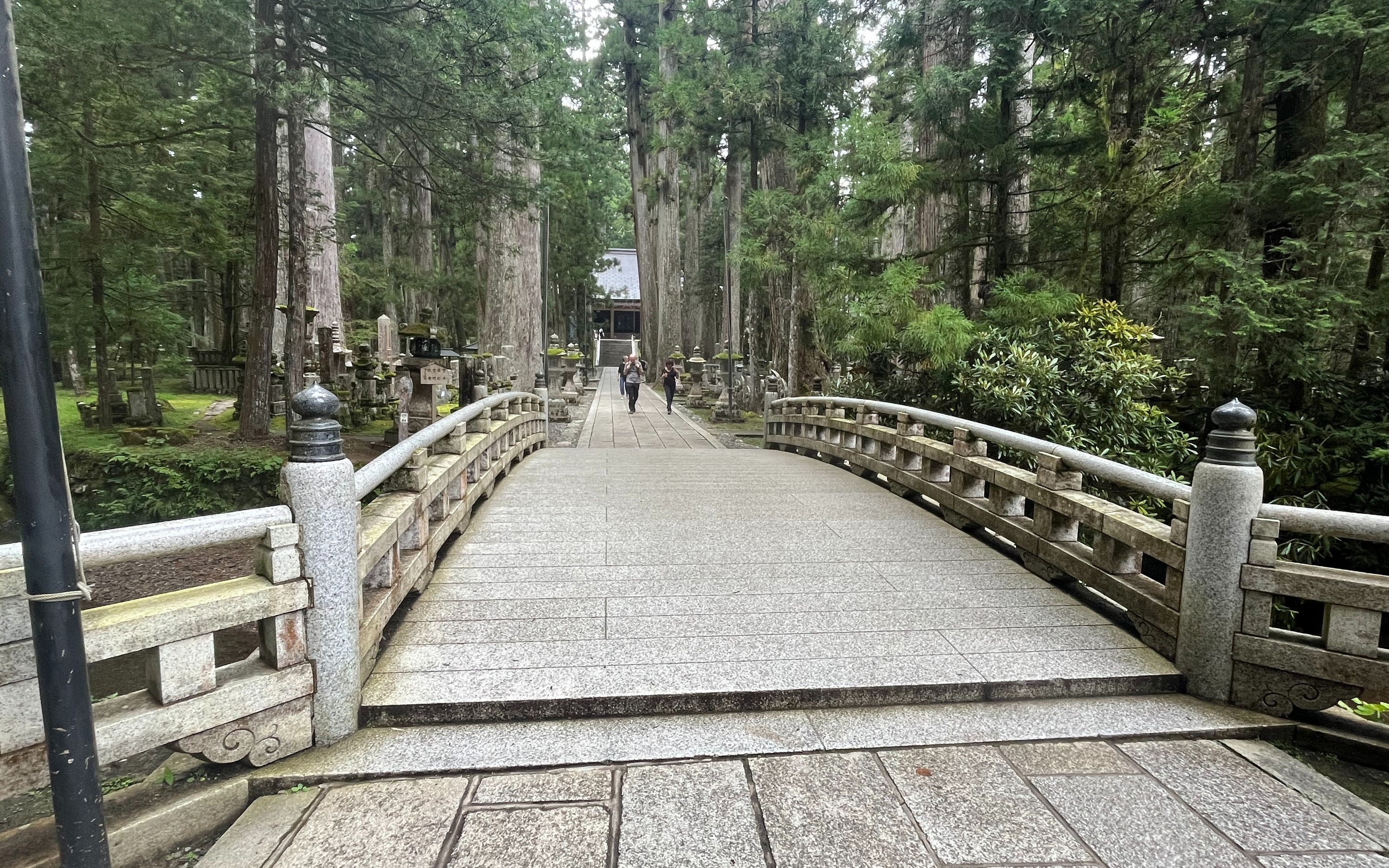  Mount Koya Full-Day Private Guided Tour