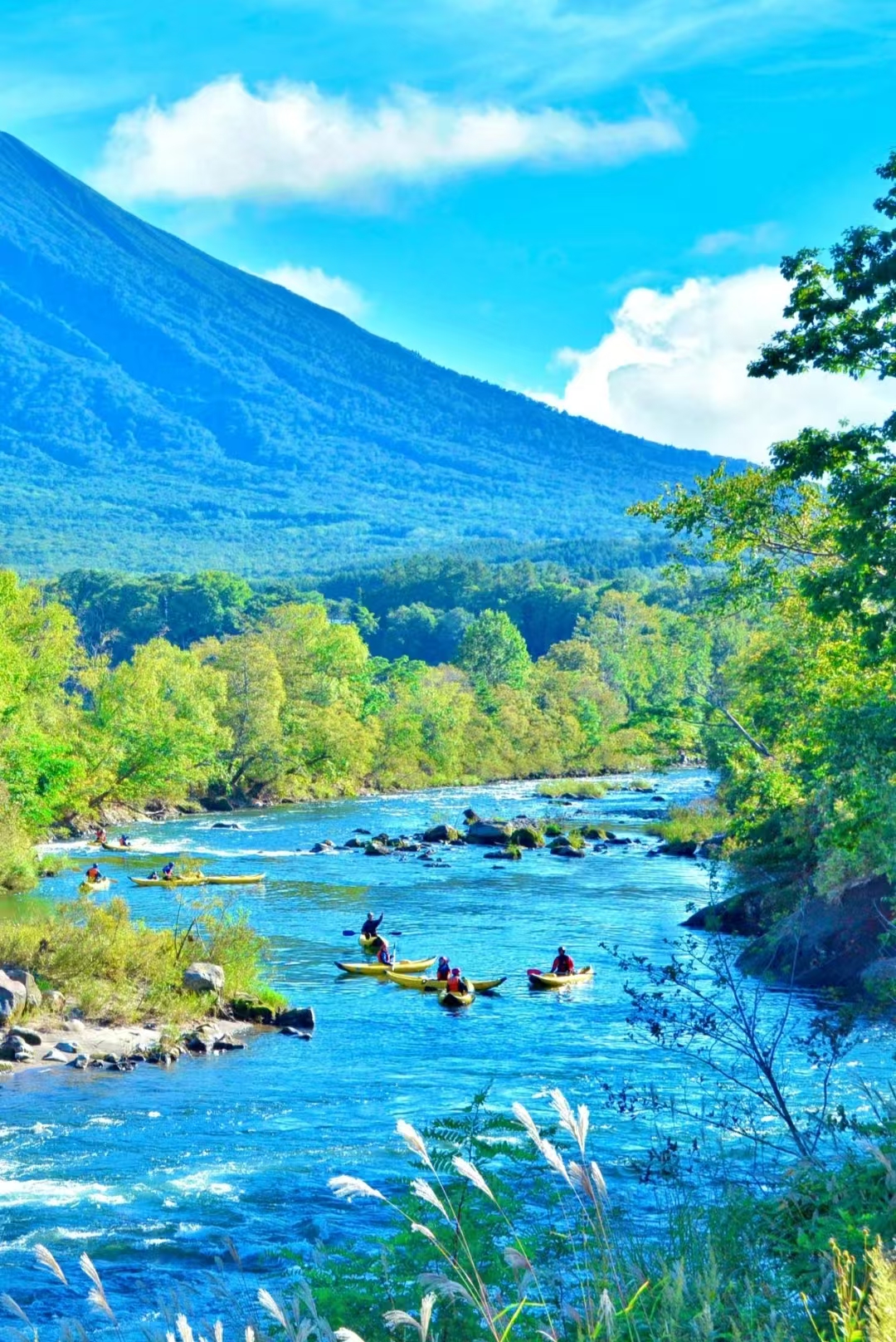 夏日二世谷必玩水上項目，泛舟林間溪流，沉浸式感受北海道自然清涼。