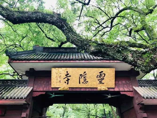 Hangzhou Lingyin Temple and Meijiawu Private Full-Day Tour