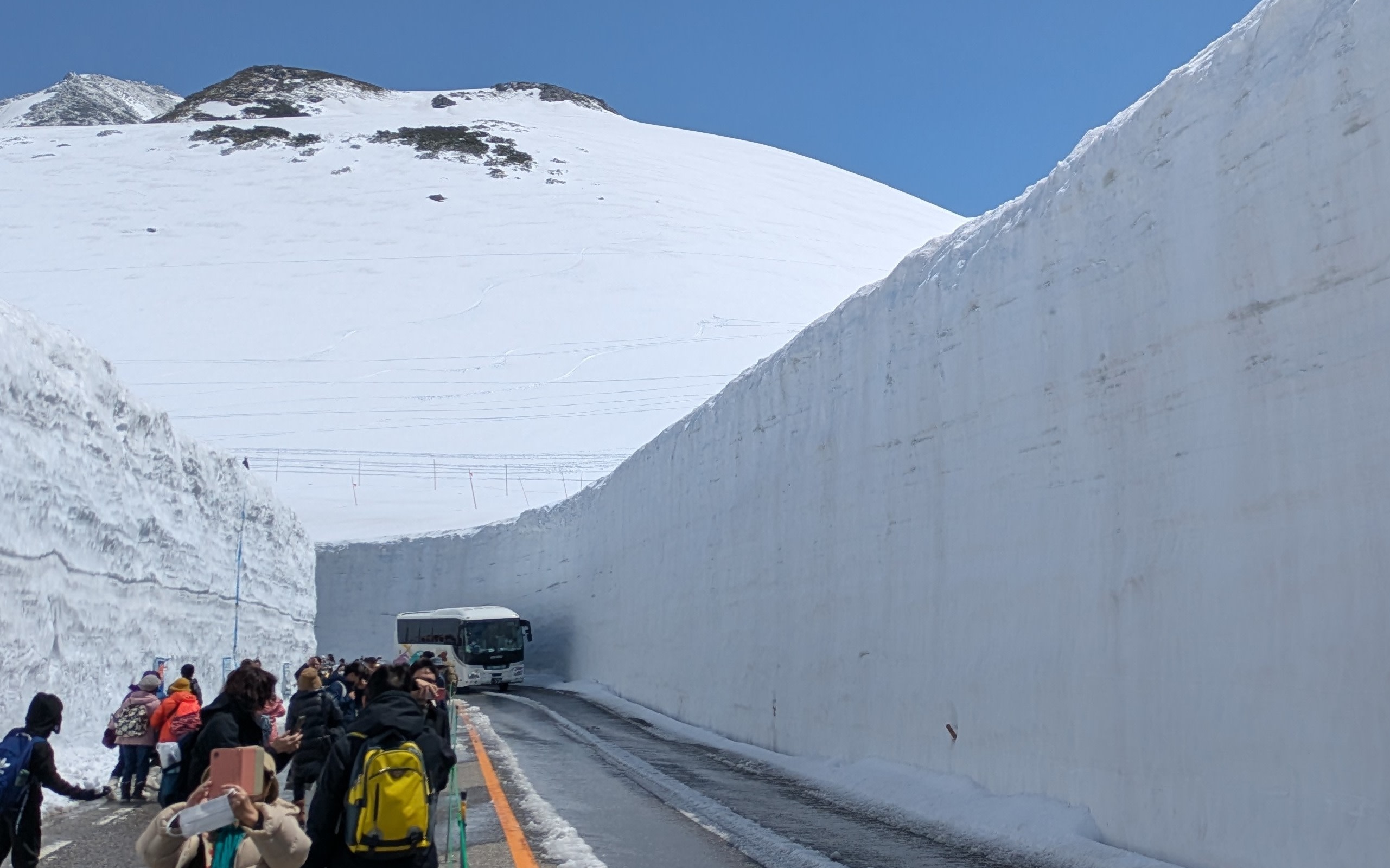 1 Day Tour from Kanazawa & Toyama: Snow Wall and Mysterious Valley