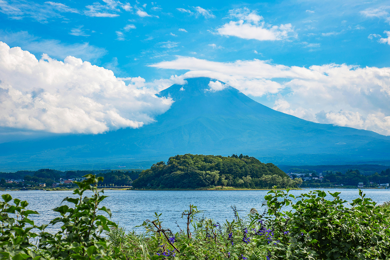 We recommend going to Mount Fuji Hot Spring during the regular holiday on Tuesdays (you can see Mount Fuji from the lounge)