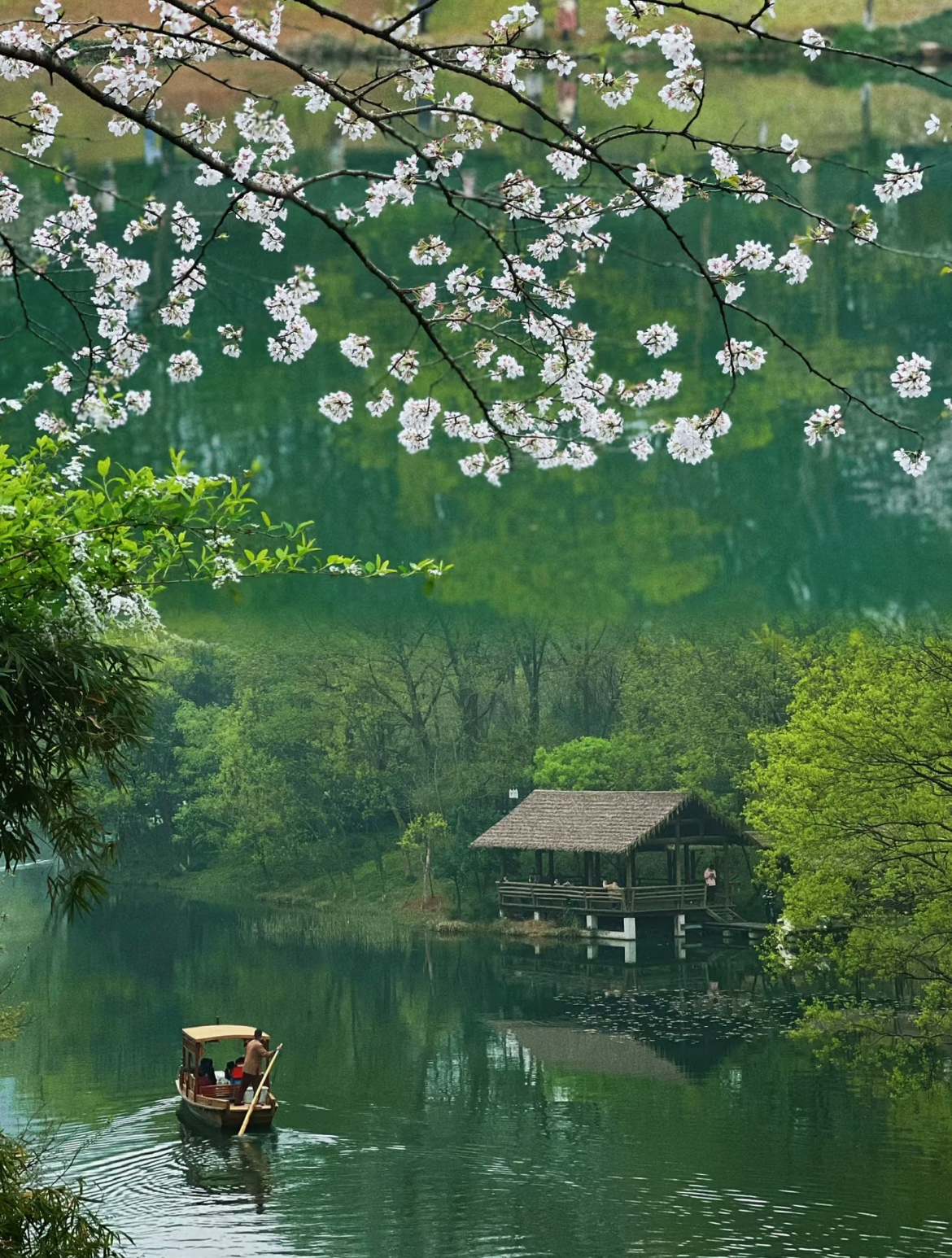 杭州西湖畫舫船登島+非遺畫扇體驗經典半日遊（賞三潭印月+花港觀魚+湖畔大學+烏龜潭+狀元坊）