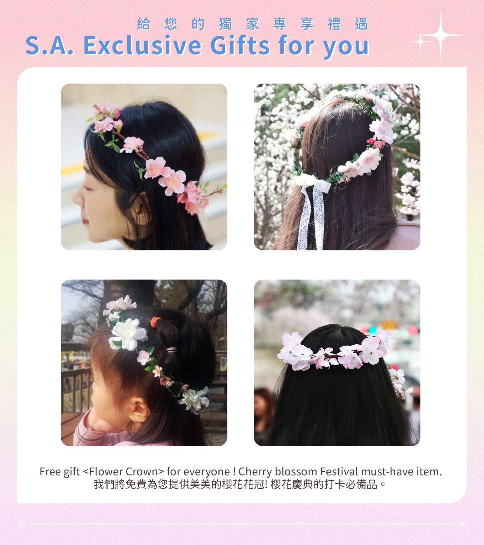 Jinhae Gunhangje Cherry Blossom Festival Day Tour from Seoul/Busan 