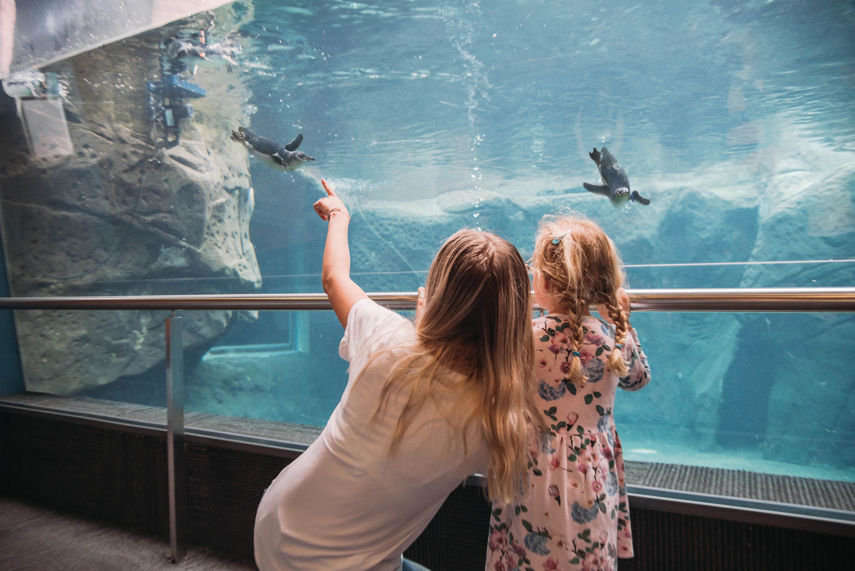 International Antarctic Centre Ticket in Christchurch