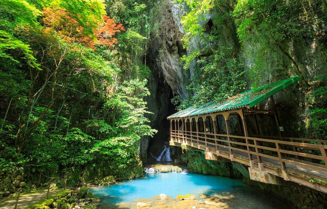 Akiyoshido Cave & 元乃隅神社海岸觀光 & 洞穴探險一日遊