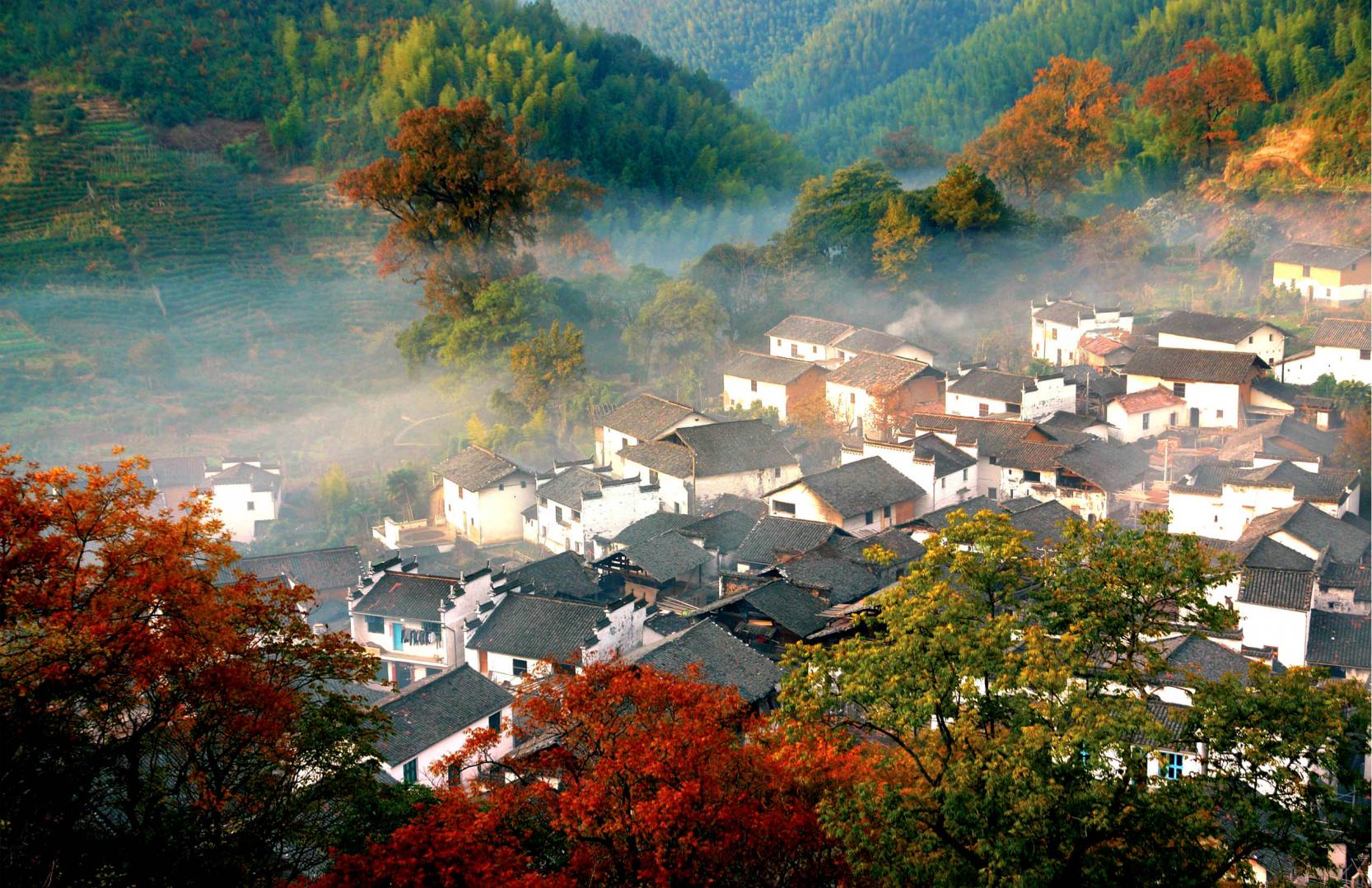 【春季限定油菜花】江西上饒婺源徽派歷史古村落1日遊（漫山遍野的婺源油菜花+眾多的明清古建築+千年古村）