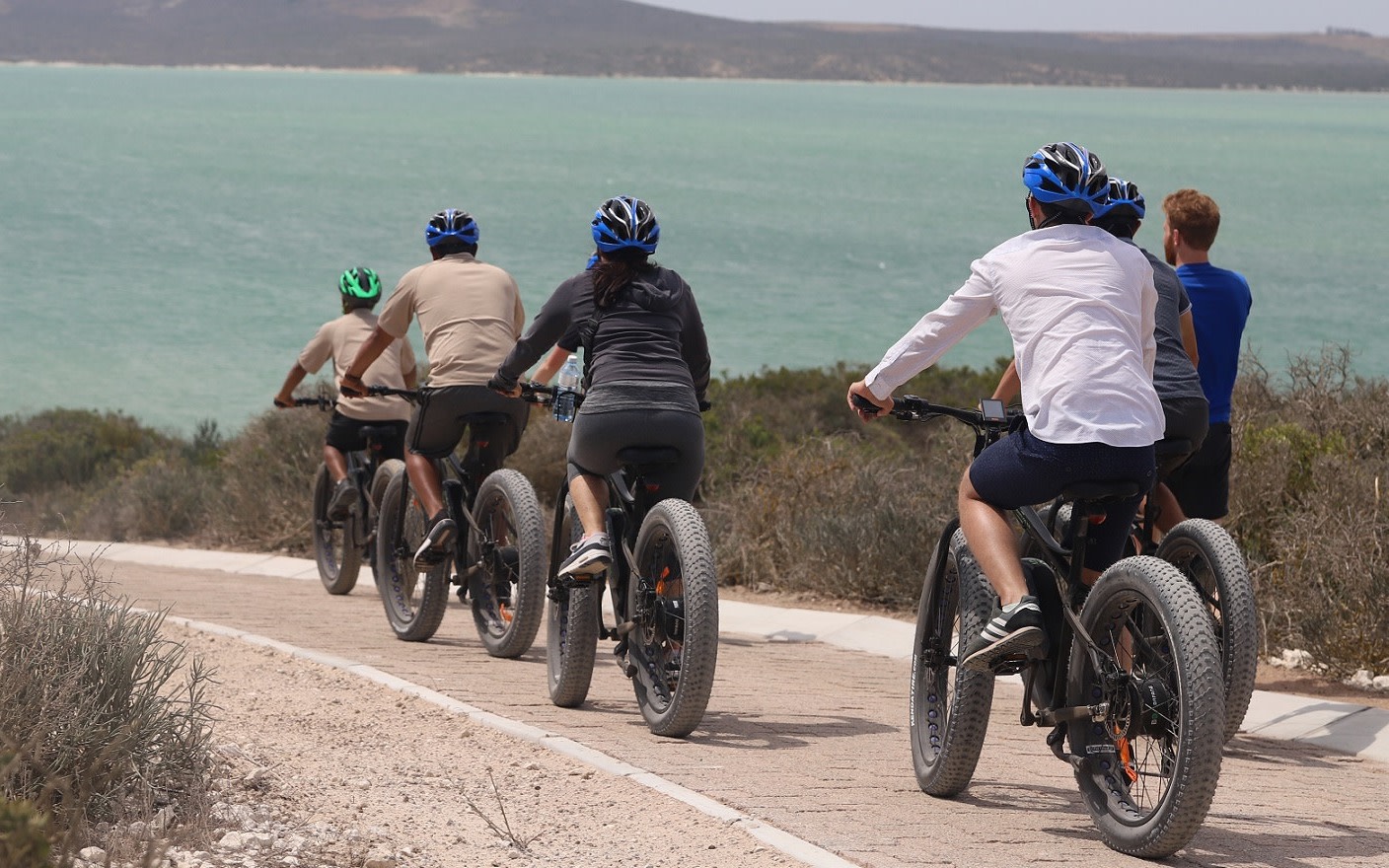 Buffelsfontein Game Reserve Electric Bike Safari Adventure