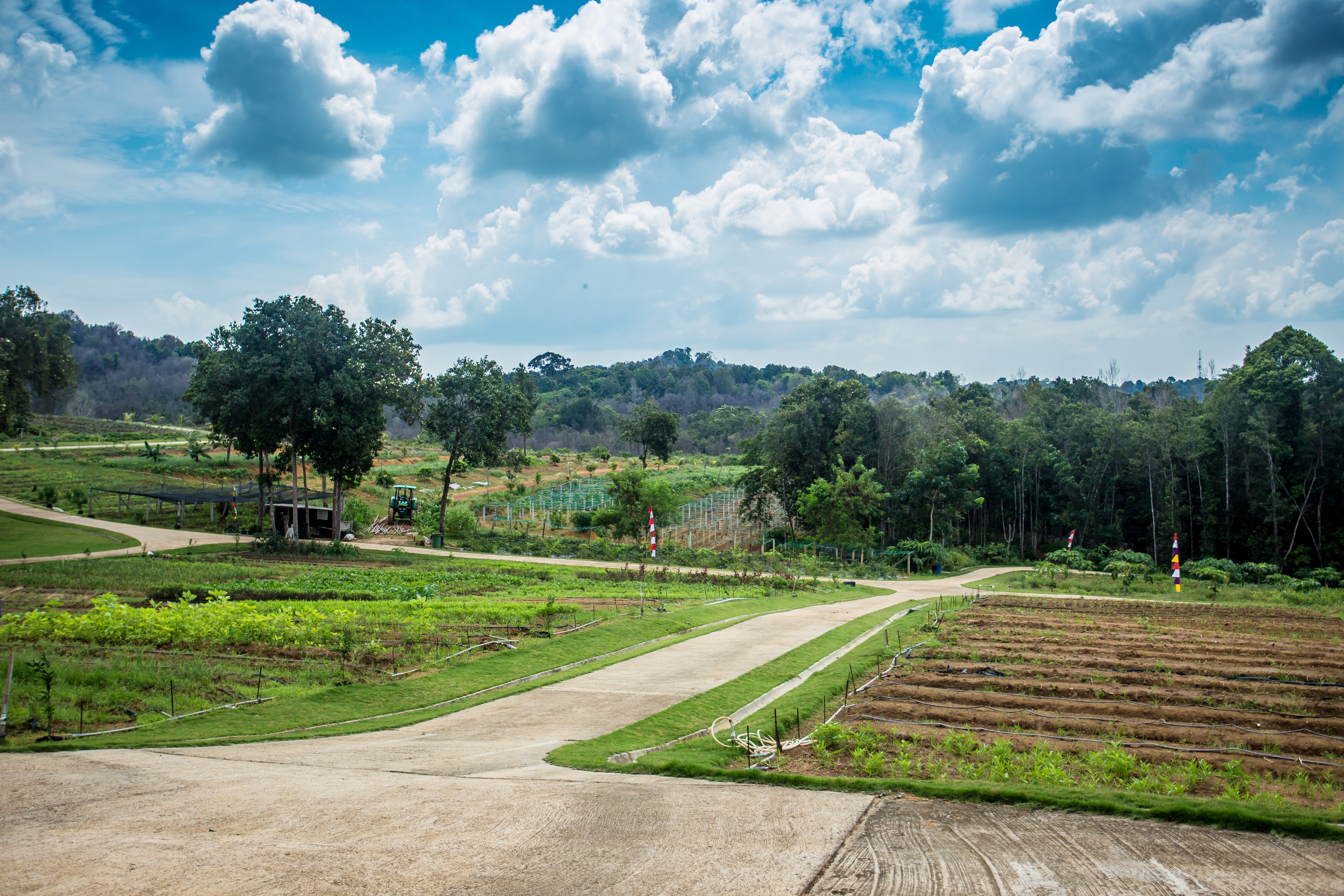 North Bintan Tour