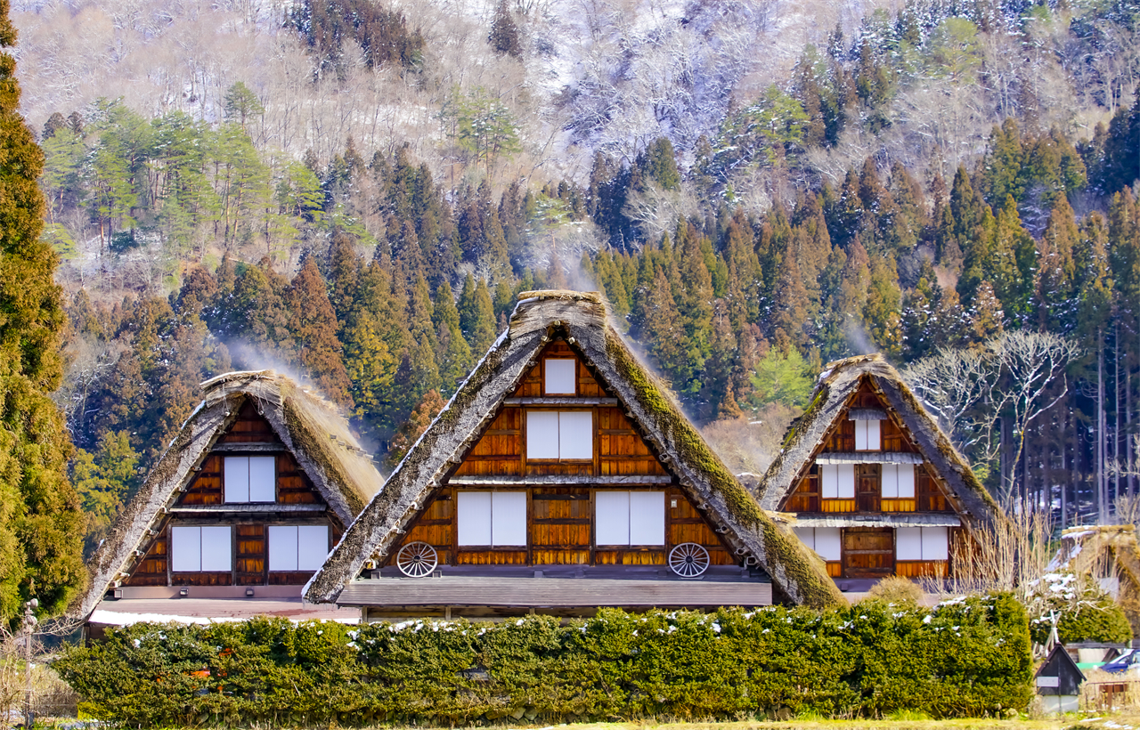 飛驒高山&白川鄉合掌村落&宮川朝市&古街漫步