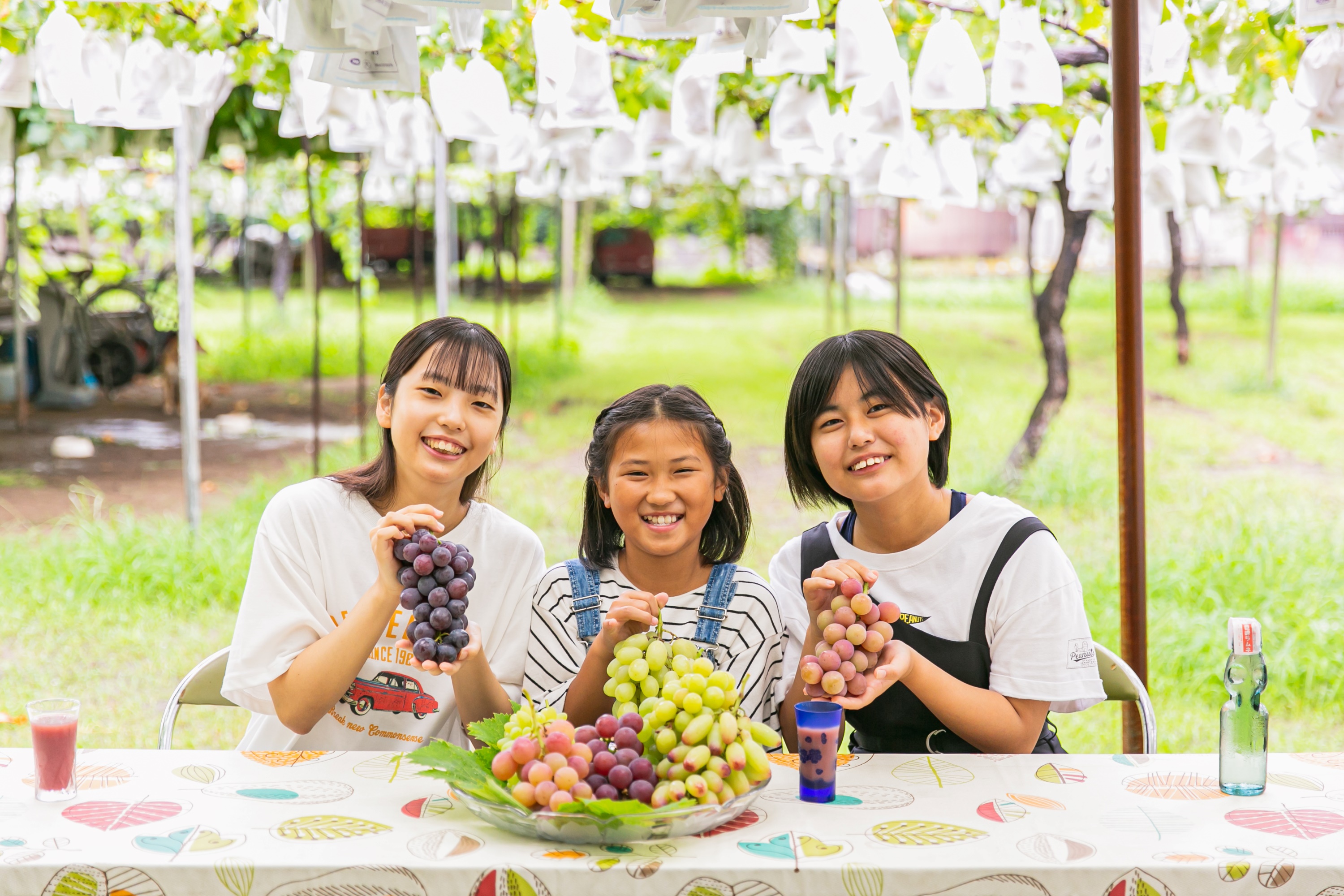 福岡一日遊：採季節水果＆購物＆teamLab 森林福岡