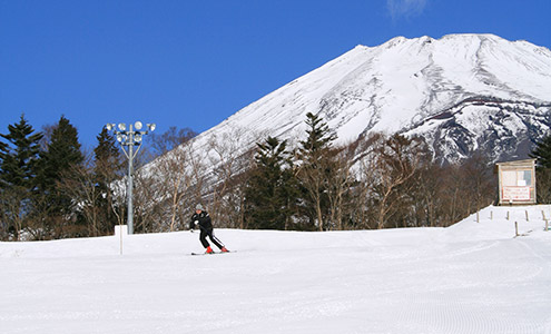 東京出發的富士山雪地樂園一日遊
