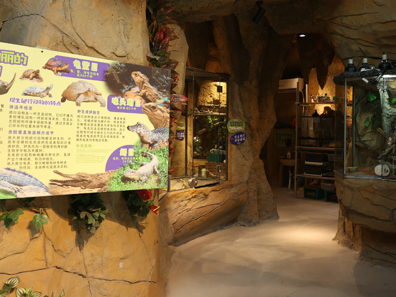 深圳野恩動物樂園（寶安海雅店）可觸摸、可擁抱、投餵互動、零距離接觸萌寵
