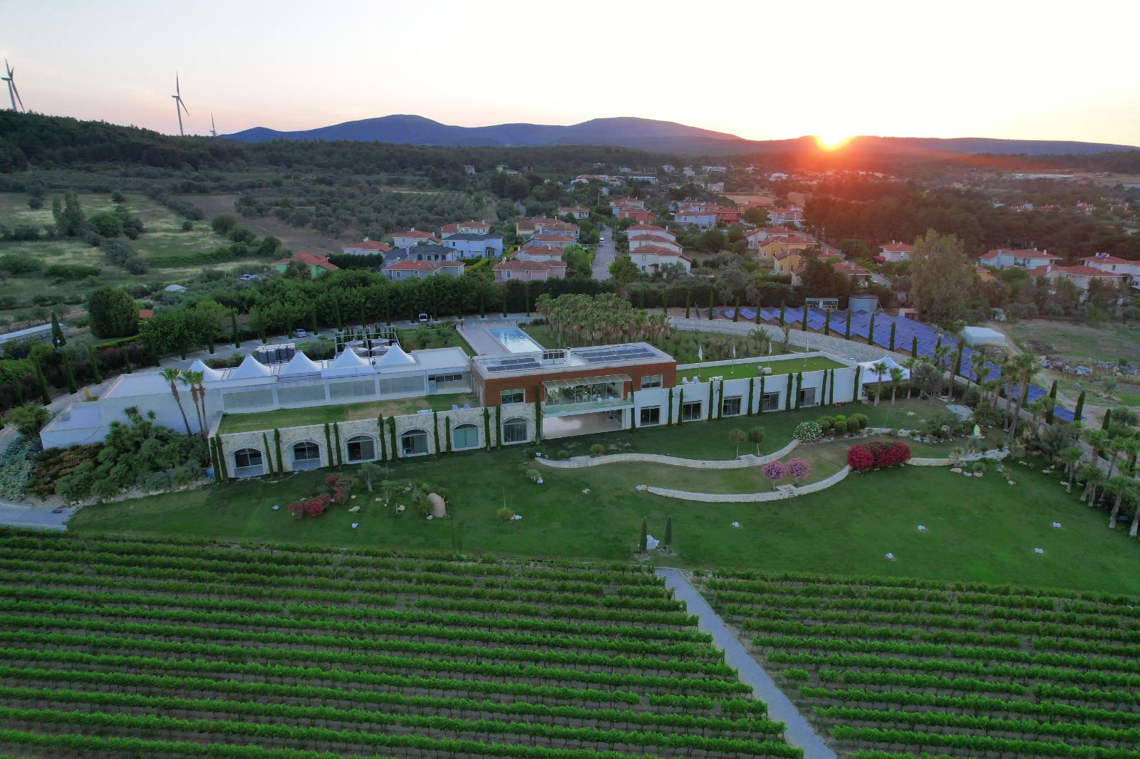 Private Urla Wine and Olive Oil Tour from Izmir