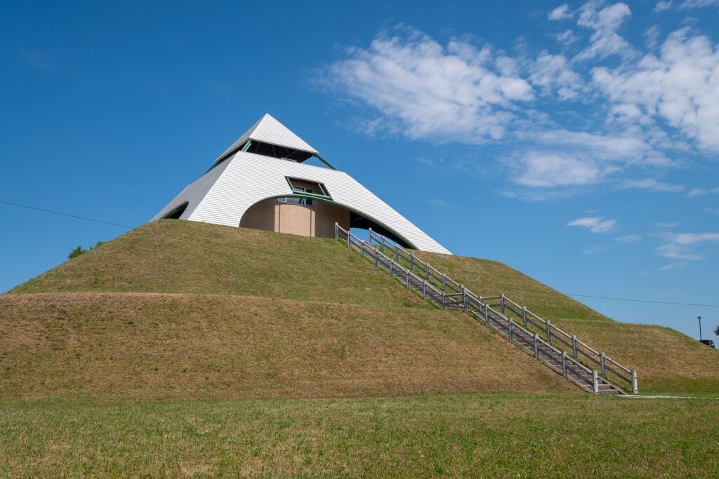 登上展望臺，一覽美瑛壯闊丘陵全景。