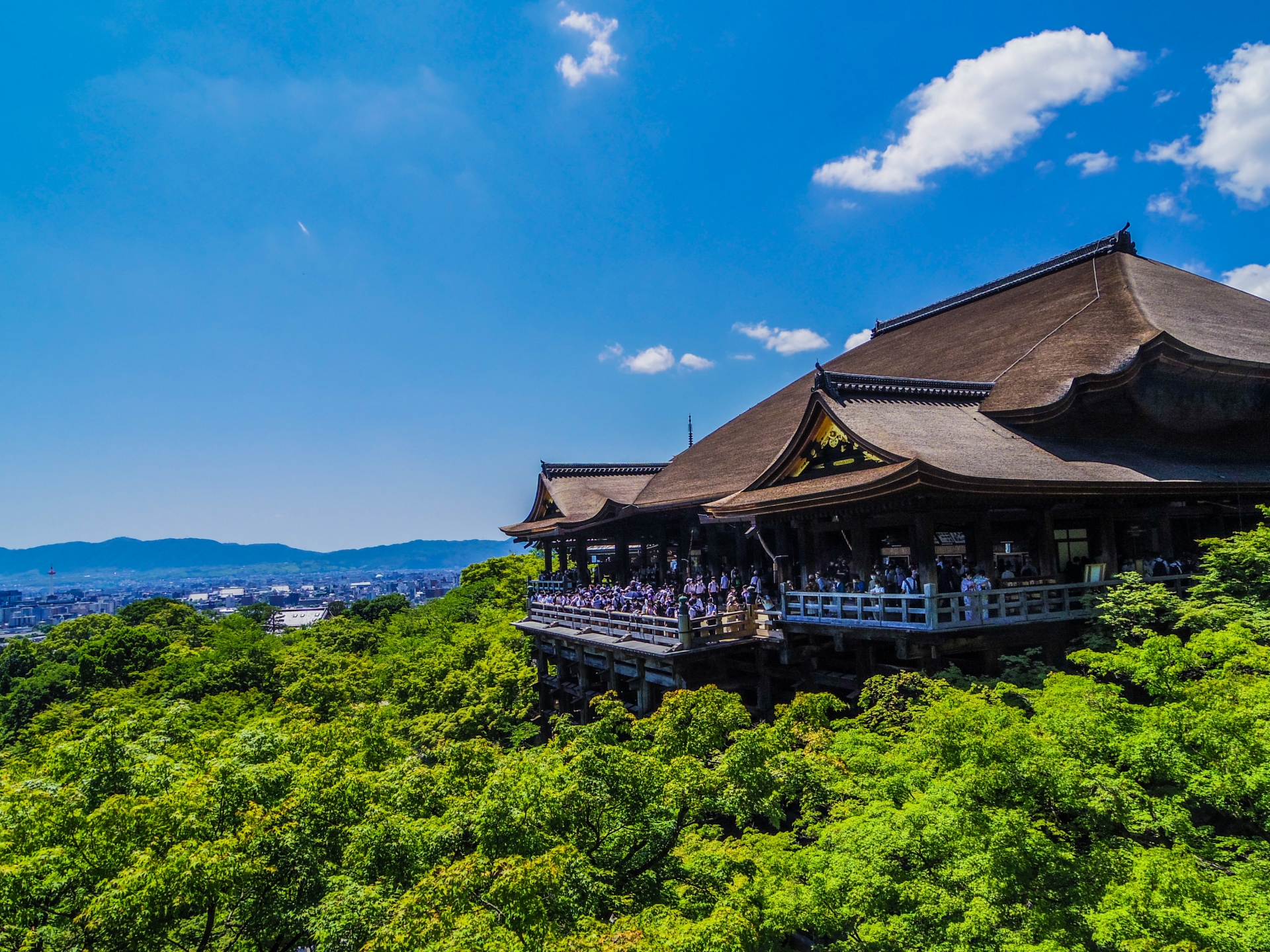 Kyoto Cultural Heritage Day Tour｜Kinkaku-ji Temple, Arashiyama, Sanjusangendo Temple, and Kiyomizu-dera Temple｜Optional Kobe Beef Shabu-shabu Lunch (Departing from Osaka and Kyoto)