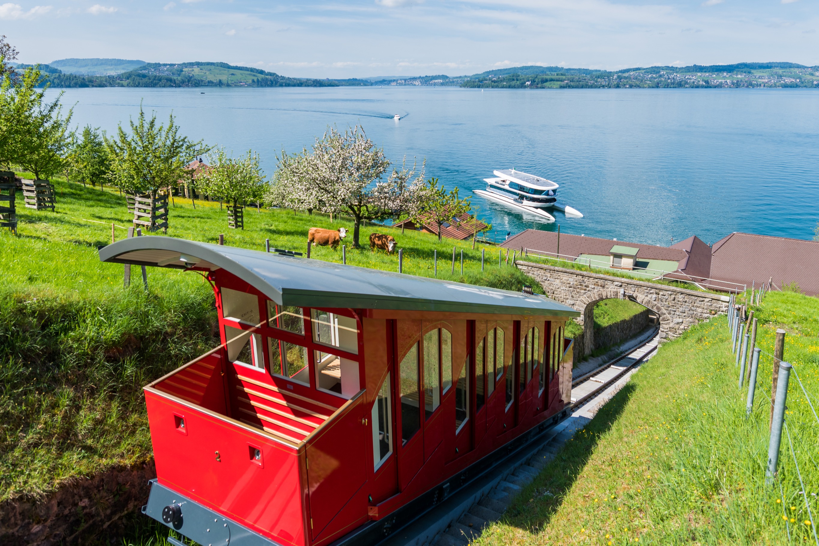 Round Trip Catamaran Sightseeing Cruise on Lake Lucerne