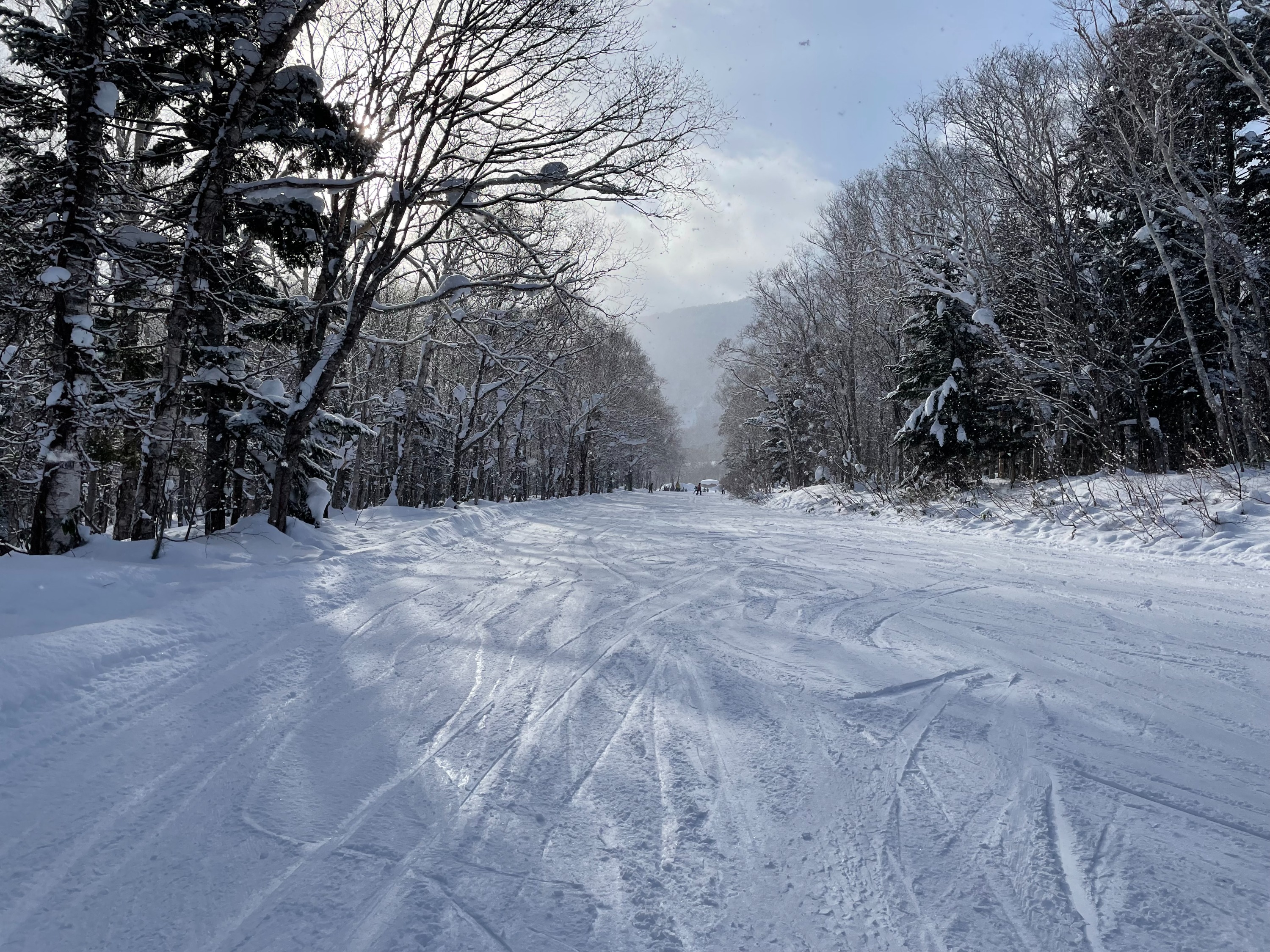 札幌私人單板 / 雙板滑雪課程（含接送服務）