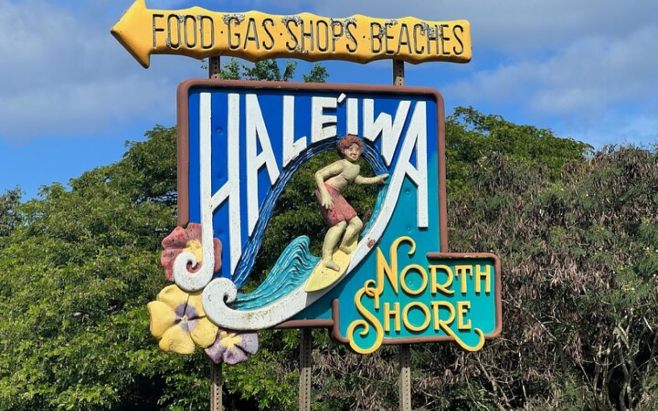 North Shore and Dole Pineapple Farm Tour