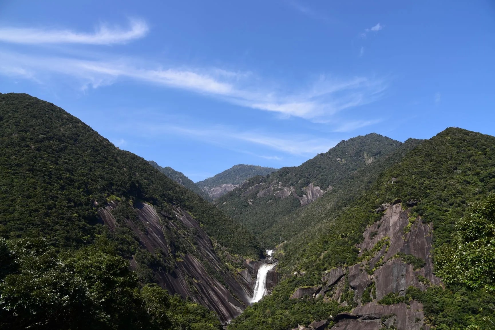 屋久猿觀光巴士：屋久島上午半日遊