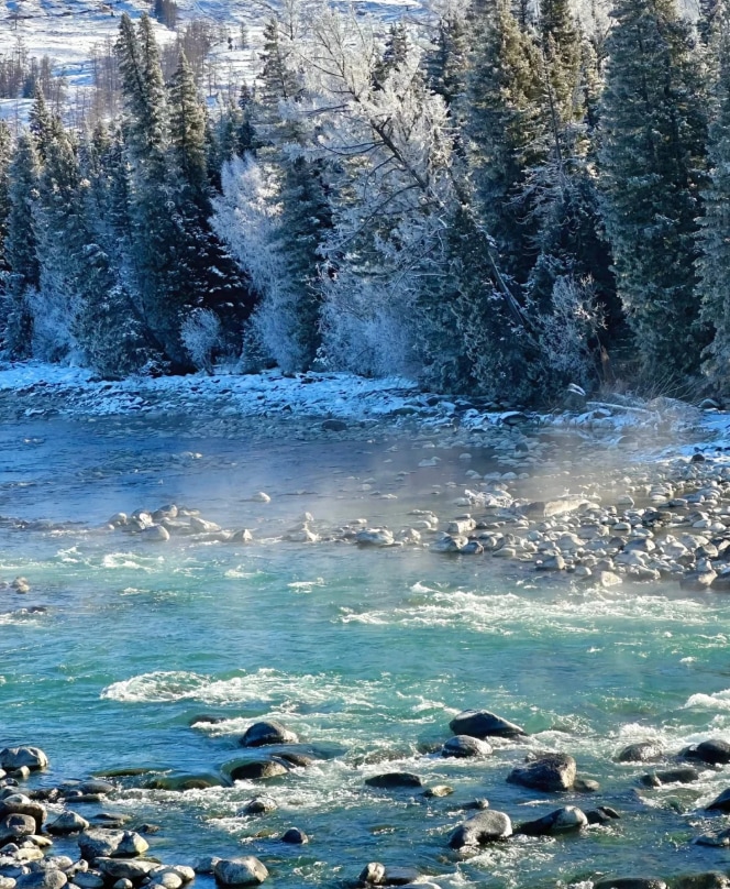 絕對是冬天最美的風景之一。 絕對是冬天最美的風景之一。
