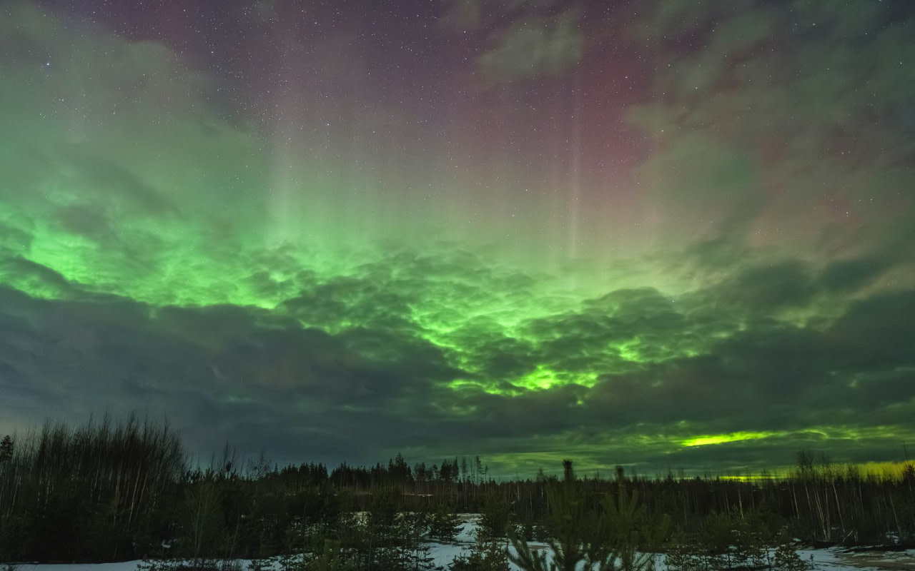 探索北極荒野，盡享風光旖旎的駕車之旅，體驗野生動物觀賞，並親眼目睹令人屏息的北極光。
