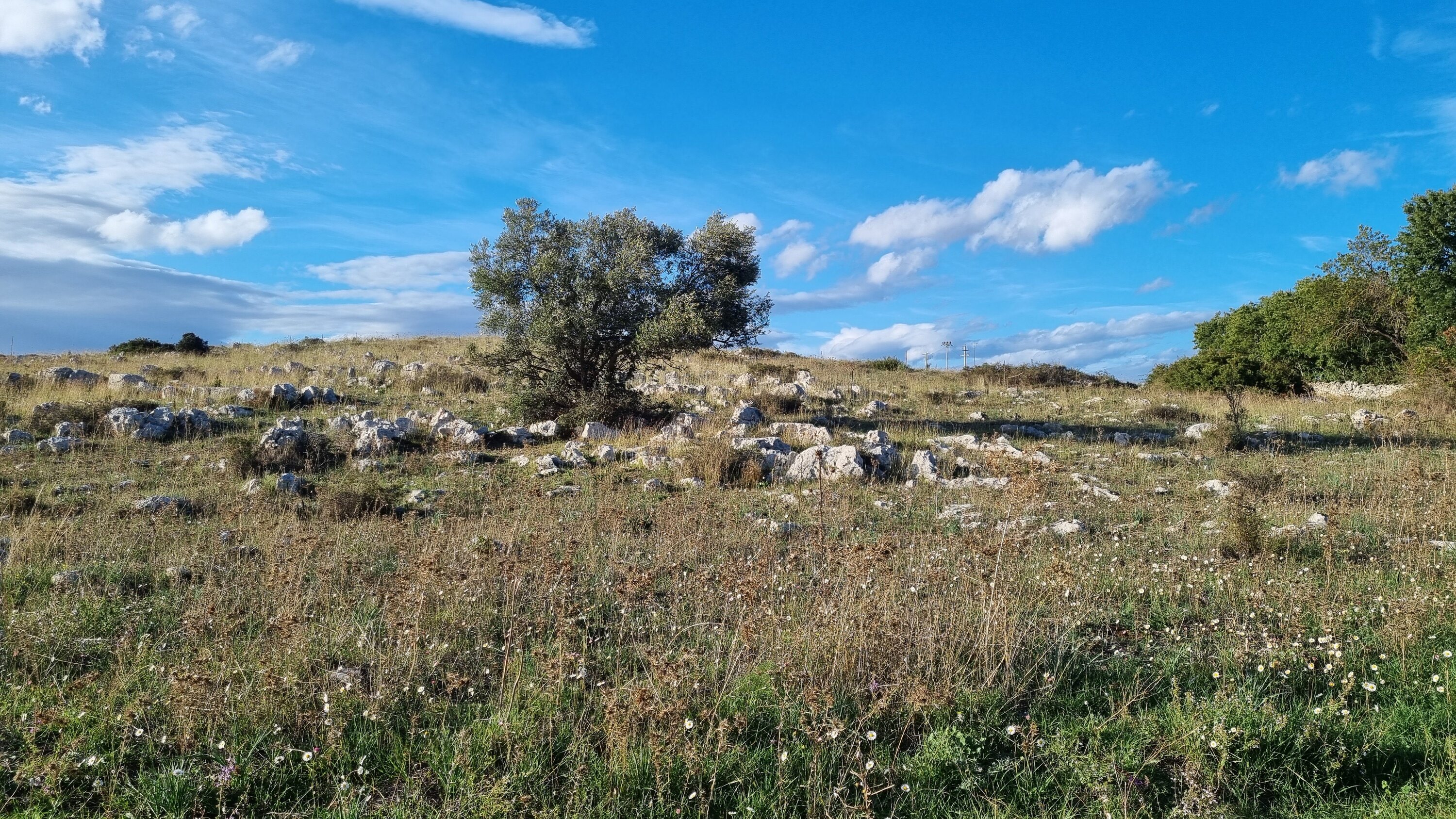 徒步穿越野外景觀，探索隱藏的壁畫和全景觀景點