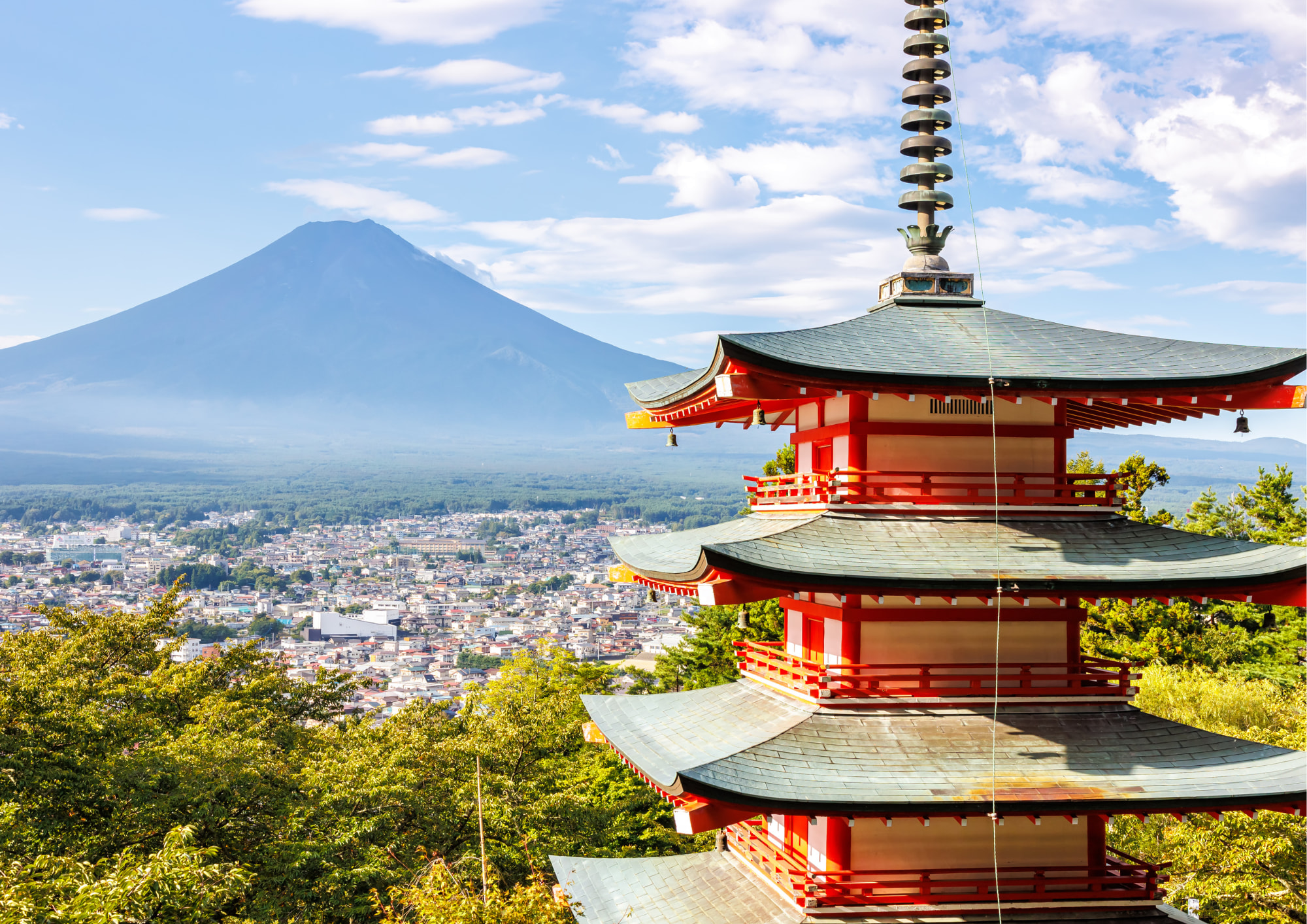 Fuji Mountain Views & Kikyō Shingen Mochi All-you-can-pack Tour