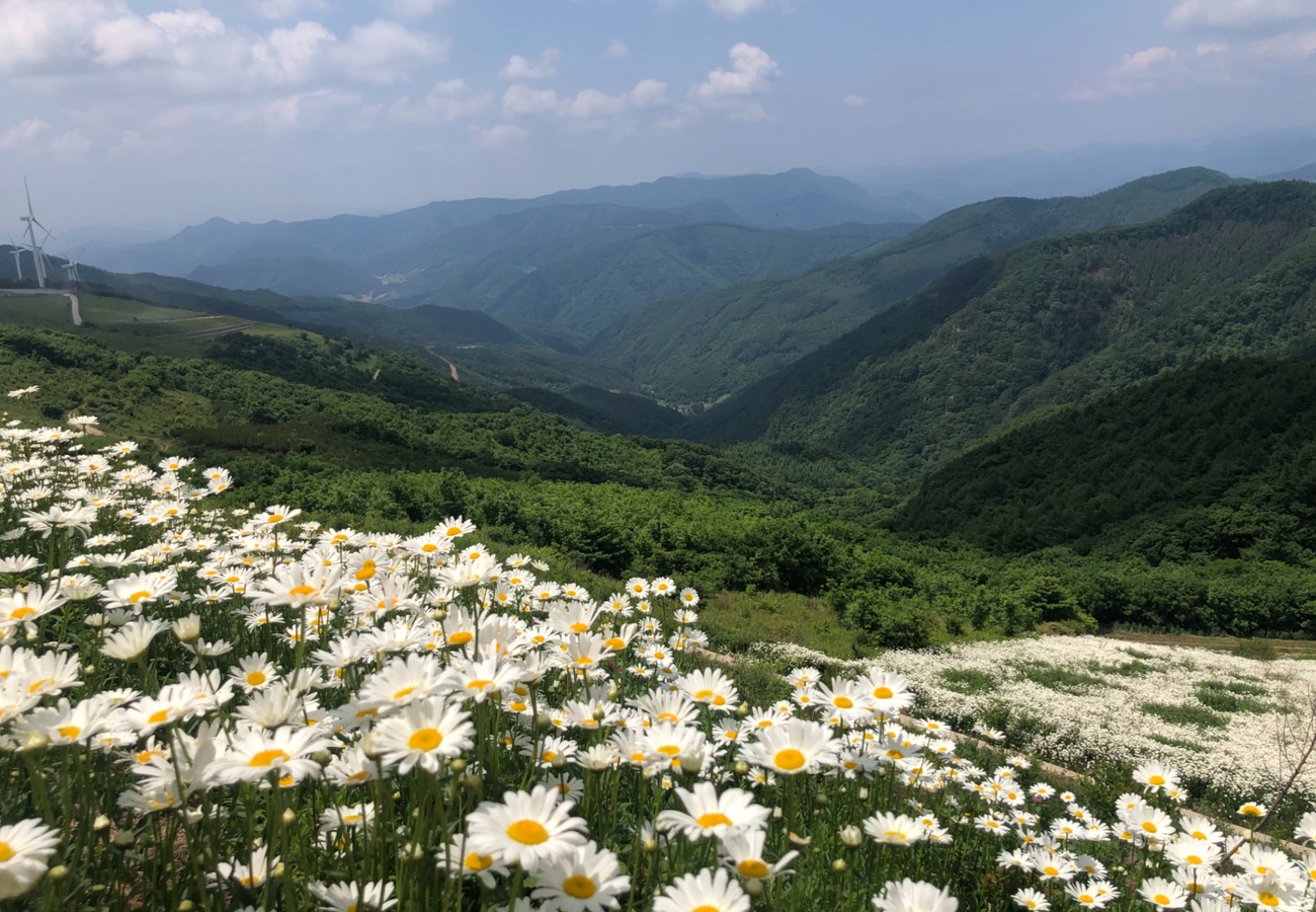 Cheongoksan Yukbaekmajigi