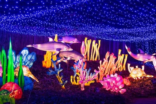 紐約布朗克斯動物園門票