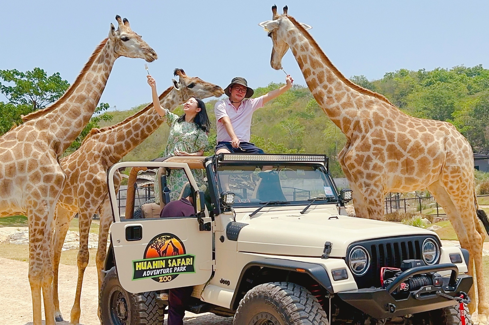 Private Hua Hin Safari Encounter Giraffe Day Tour From Bangkok by AK