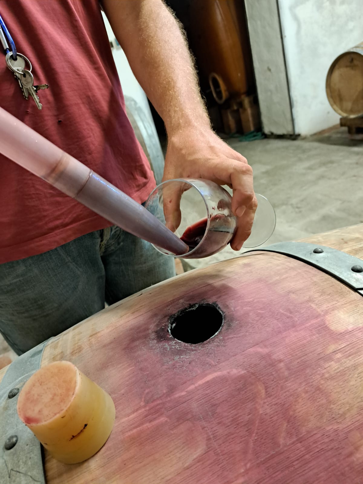 Tuscan Bites & Sips: Discover Tuscany Through Wine