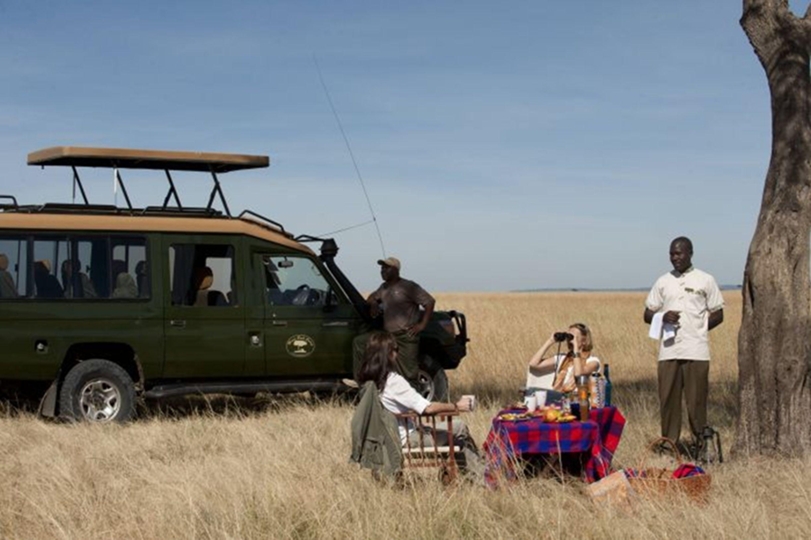 "Lunch in the Wild: A Delicious Picnic Amidst Nature"