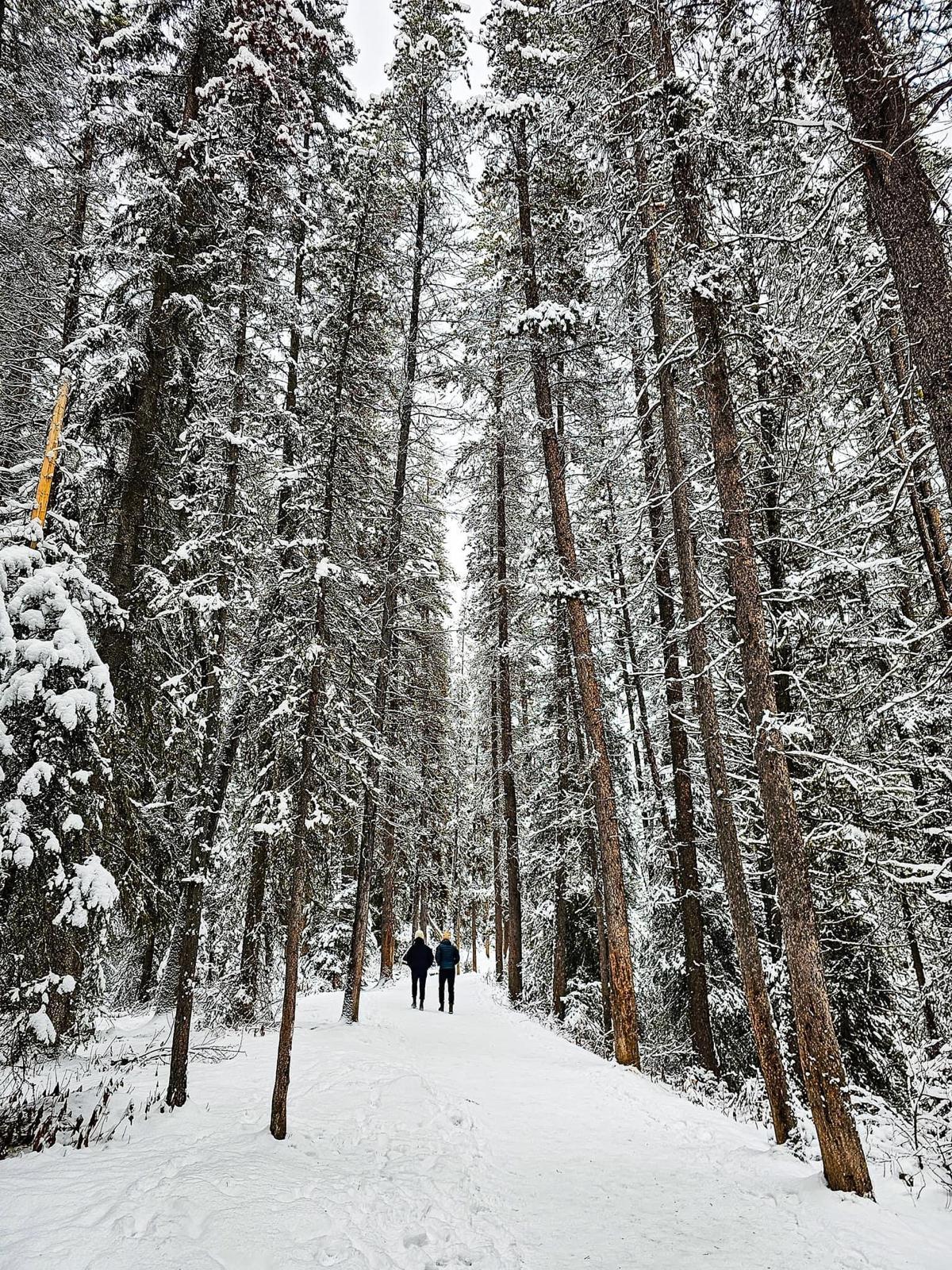 Johnston Canyon