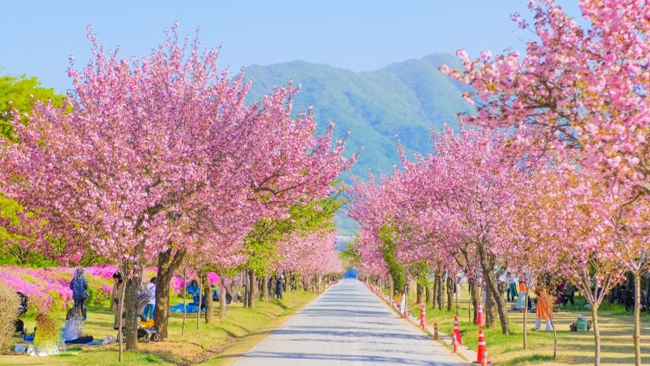 沿著自行車道騎行,欣賞河岸風光,享受寧靜而優美的時刻。 沿著自行車道騎行,欣賞河岸風光,享受寧靜而優美的時刻。