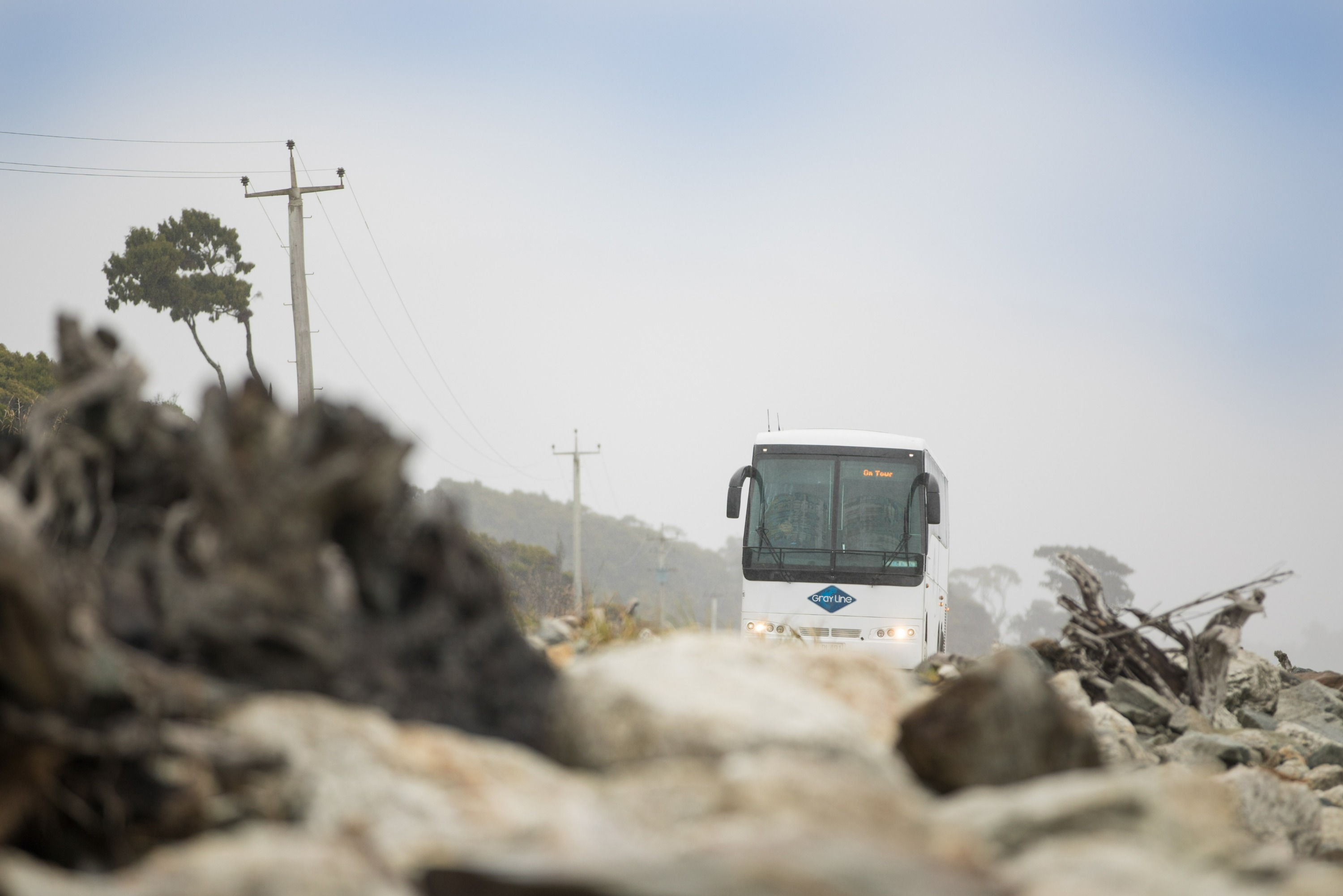 West Coast Day Tours between Franz Josef and Greymouth