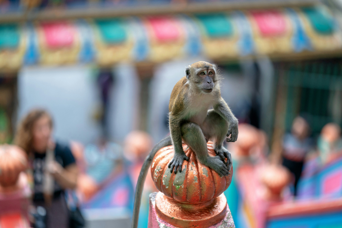 Private Batu Caves tour exploration (4 hours)