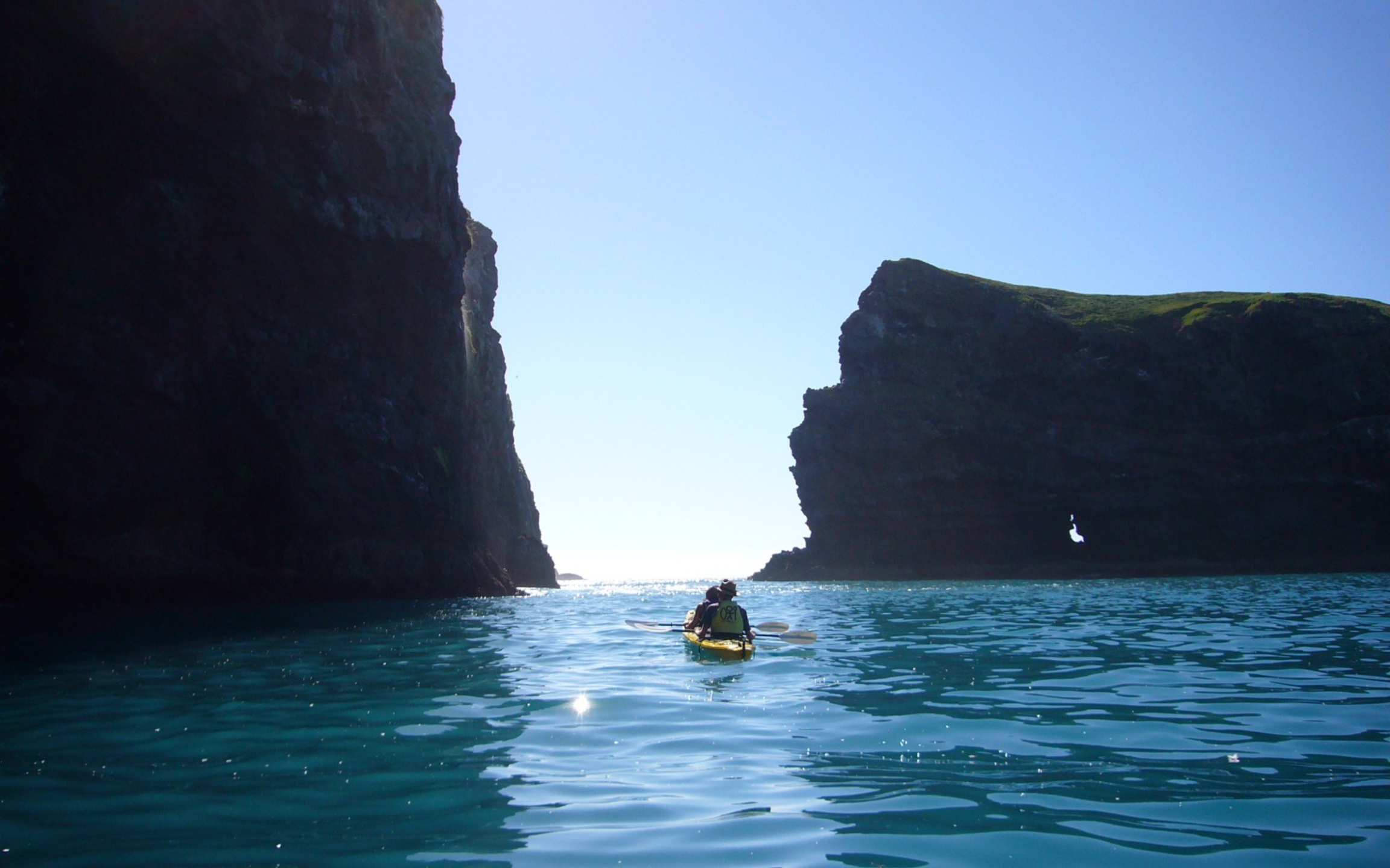 逃離都市塵囂，參加獨木舟與叢林探險之旅，淨化身心靈。